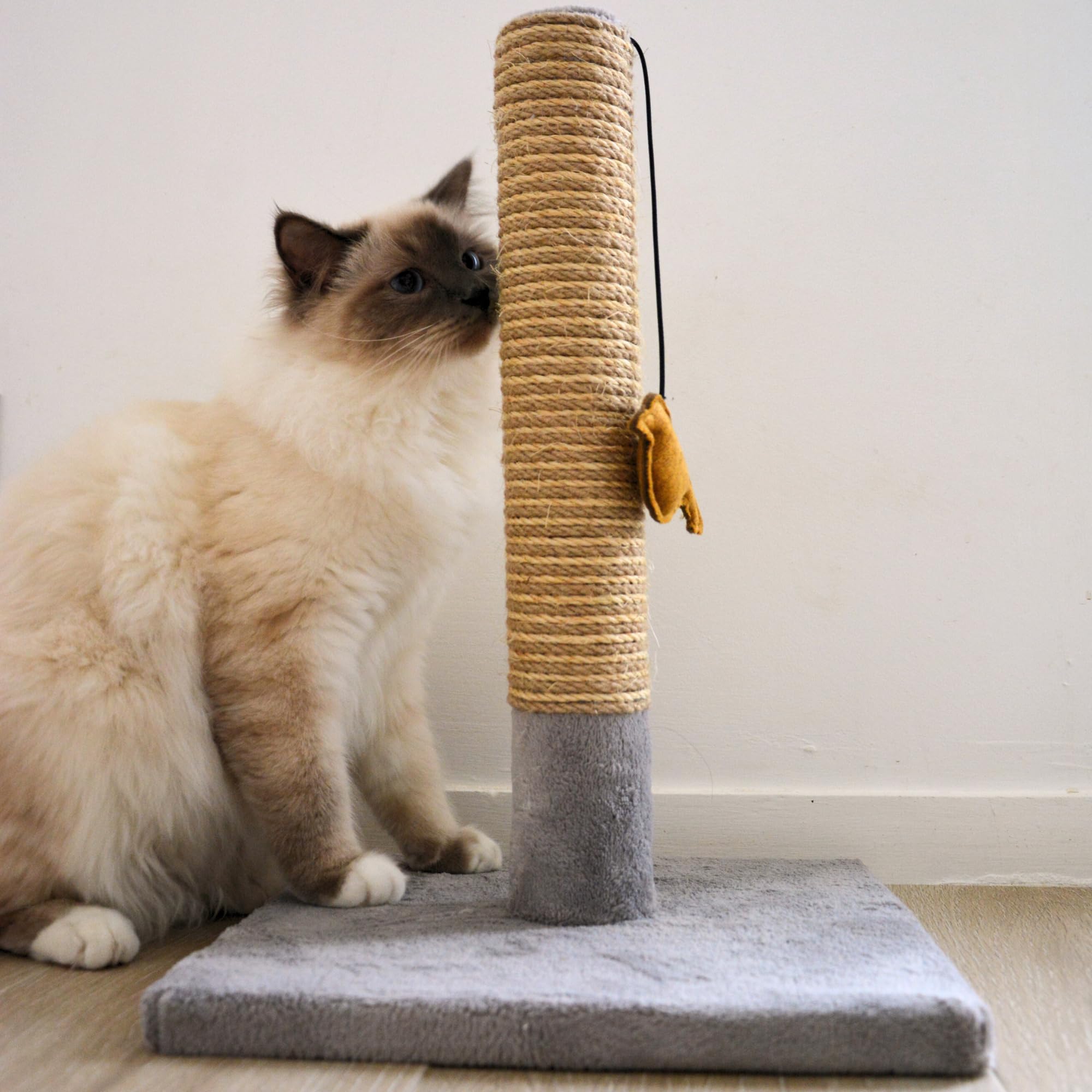Tyrol | Tiragraffi per gatti 42 cm | Tiragraffi gatto in sisal e poliestere resistente, forma semplice con giocattolo uccello, raschietto gatto dal design moderno, colore grigio chiaro, 30 x 30 cm