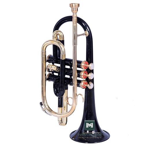 Cornet with 3 Smooth Valves Bb Pitch Brass Mouthpiece and Carry Case for Beginners and Intermediate (Black)