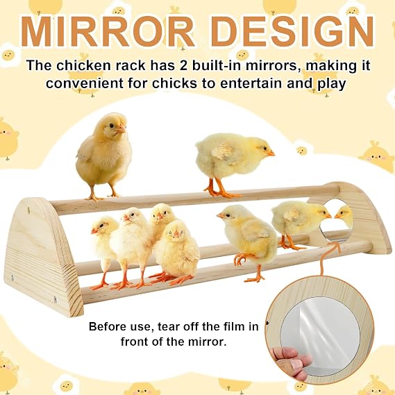 Chicken Perch with Mirror Roosting Barfor Baby Chicks