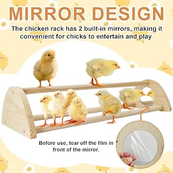 Chicken Perch with Mirror Roosting Barfor Baby Chicks