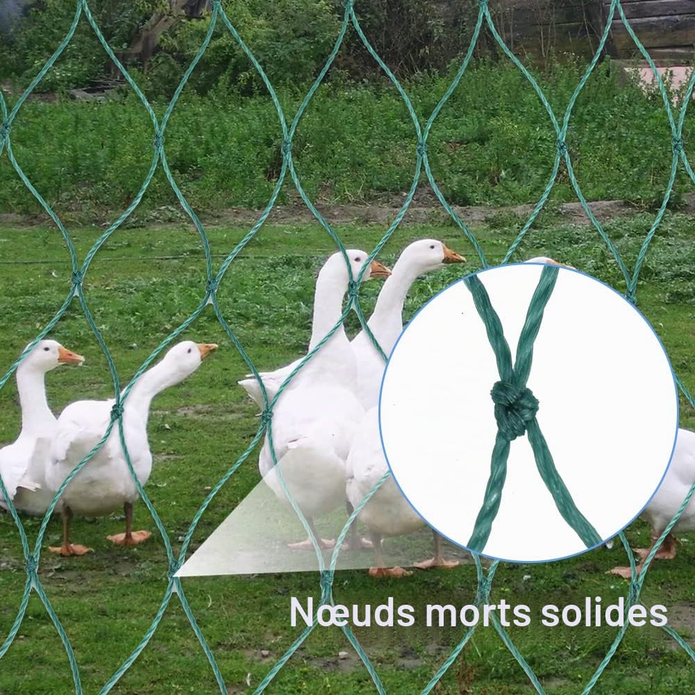Filet pour volaille en maille de 5 cm avec 36 fils et nœuds solides - Filet pour poules - Clôture mobile (1,5 X 25m)