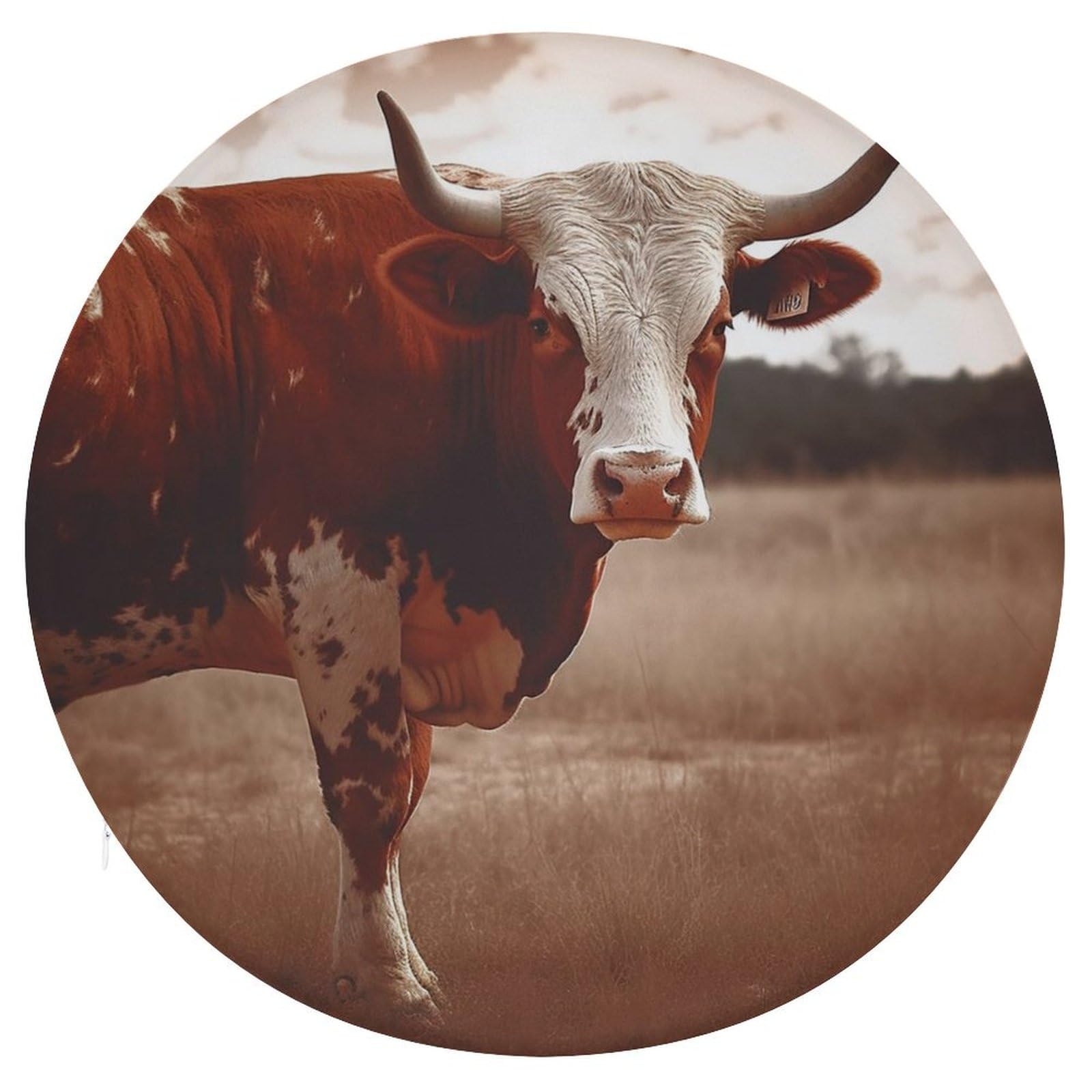 Mousse à mémoire de forme pour coussin de chaise rond au motif de vache du Texas pour le sol