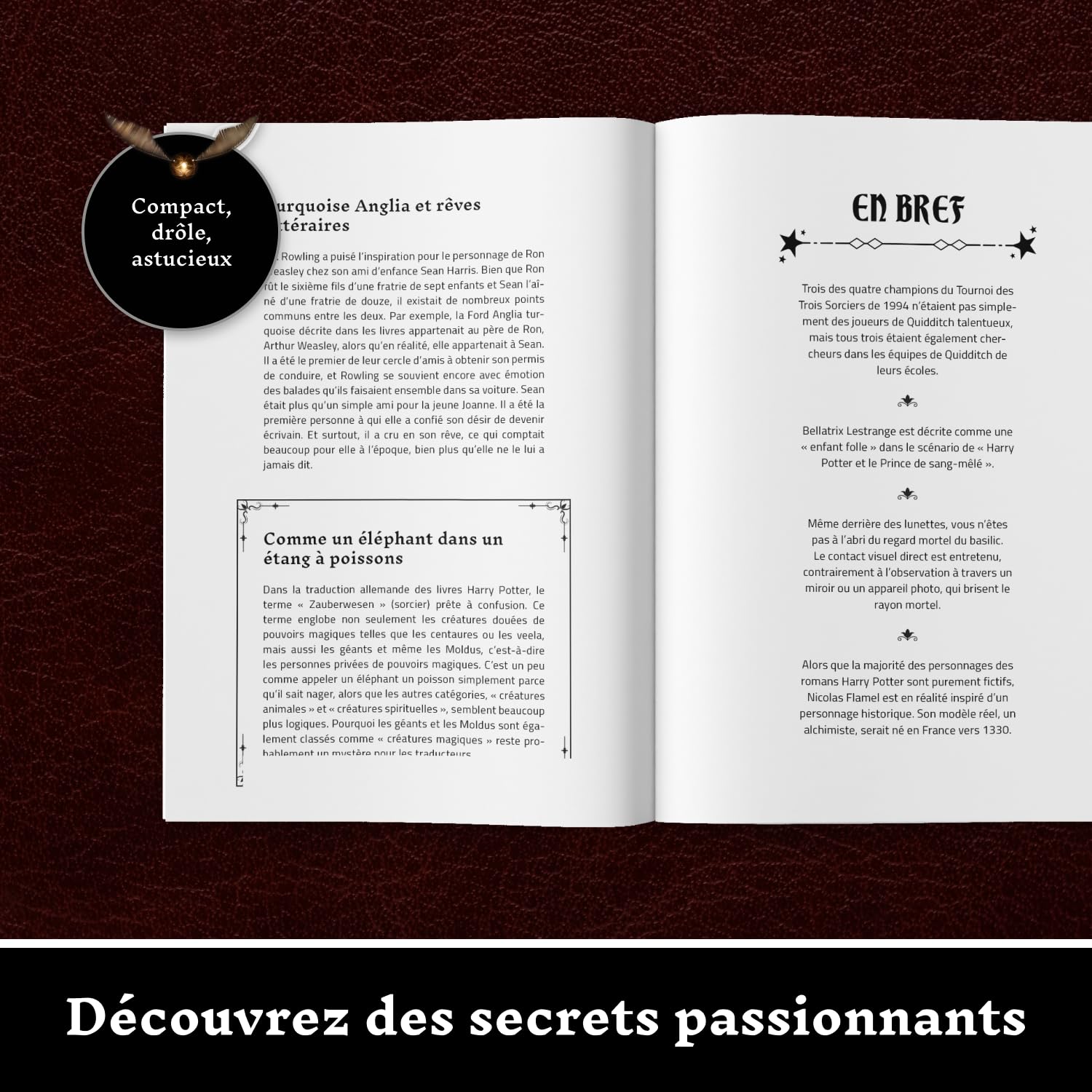 Faits incroyables pour les fans de Harry Potter – La collection non officielle : encyclopédie des connaissances secrètes sur le sorcier le plus célèbre