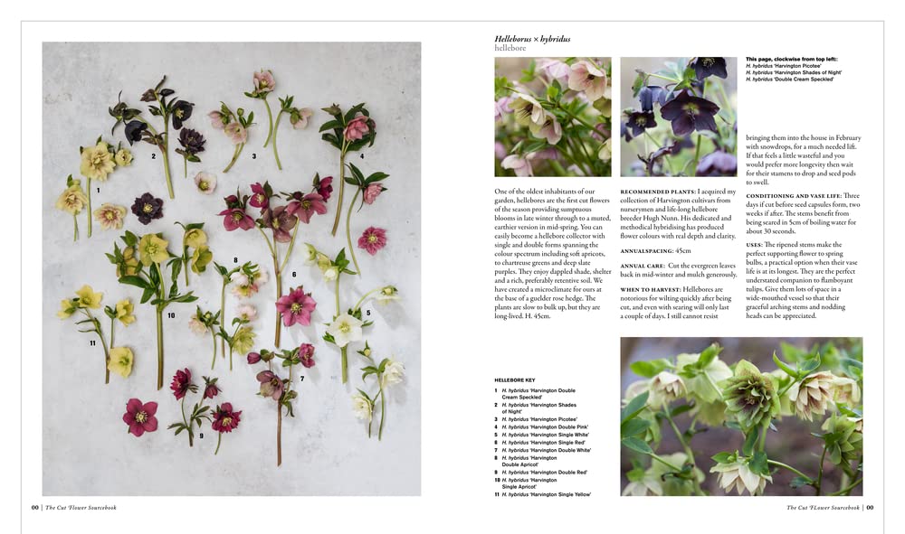 The Cut Flower Sourcebook: Exceptional Perennials & Woody Plants for Cutting