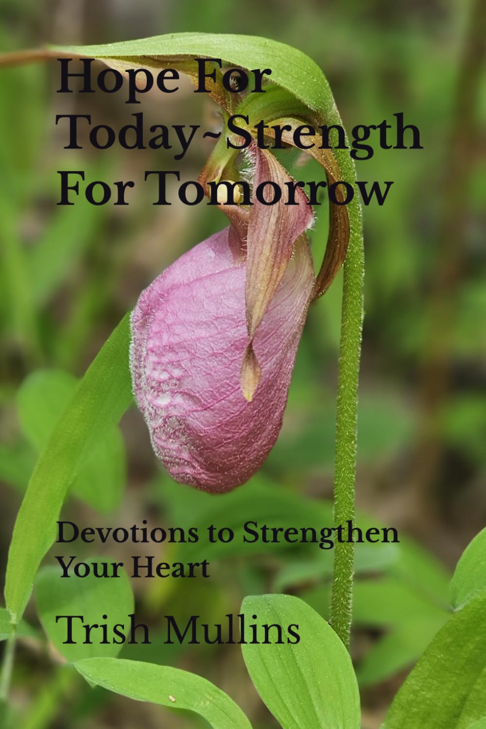 Hope For Today~Strength For Tomorrow: Devotions to Strengthen Your Heart