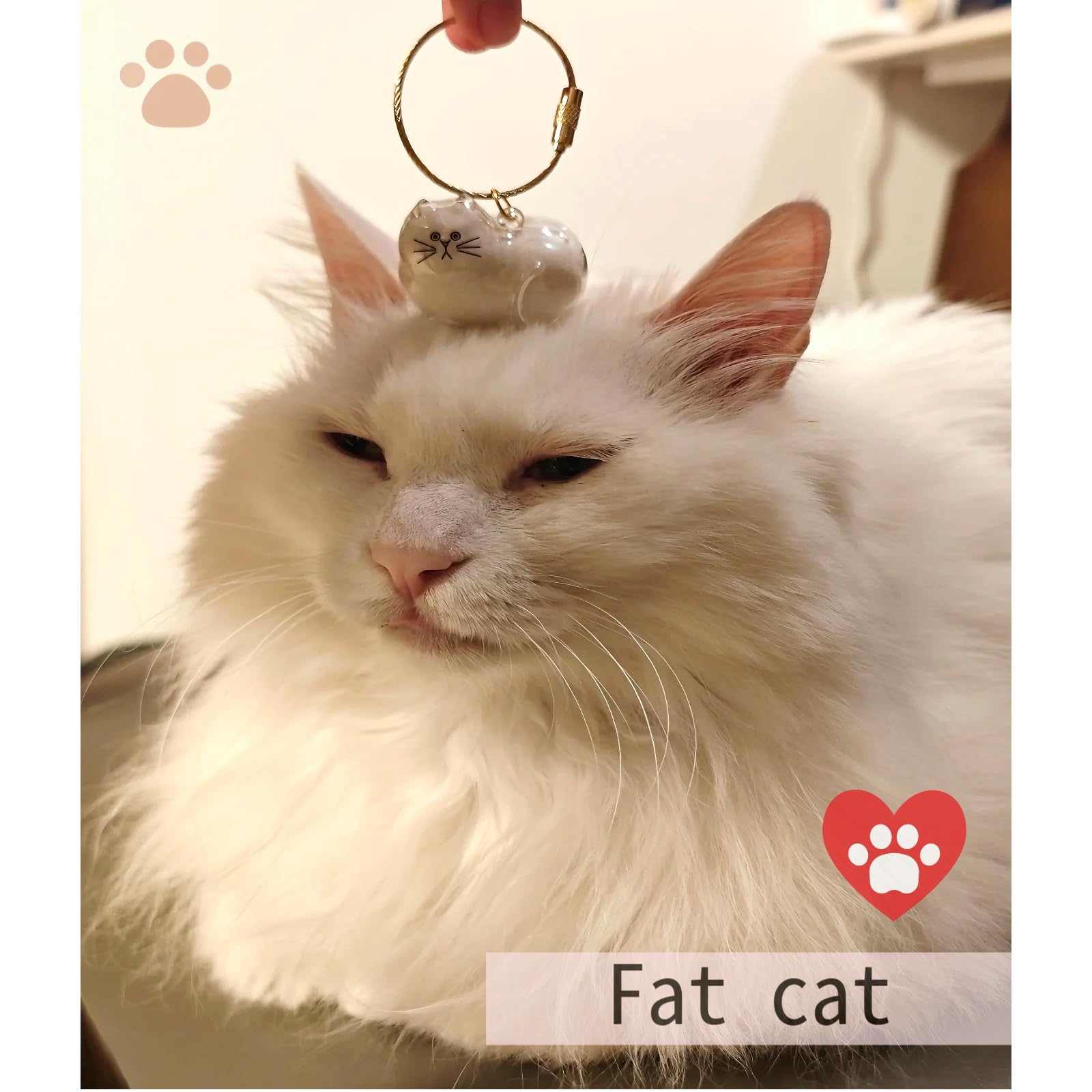 LALXUIEYC Cat Hair Storage Keychain: Pet Fur Keepsake Collector, Dog Transparent Pendant Memorial Bottle, Cat Lover Collecting Gift (Tabby Cat)