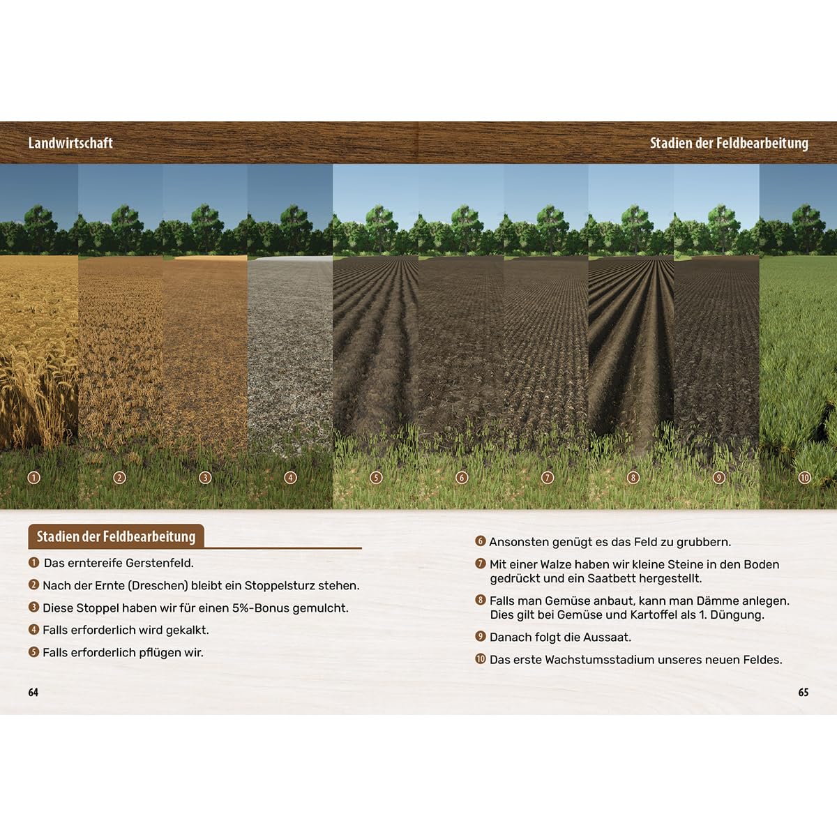 Landwirtschaftssimulator 25 - Der inoffizielle Guide: Alle Tipps und Tricks zum Spiel