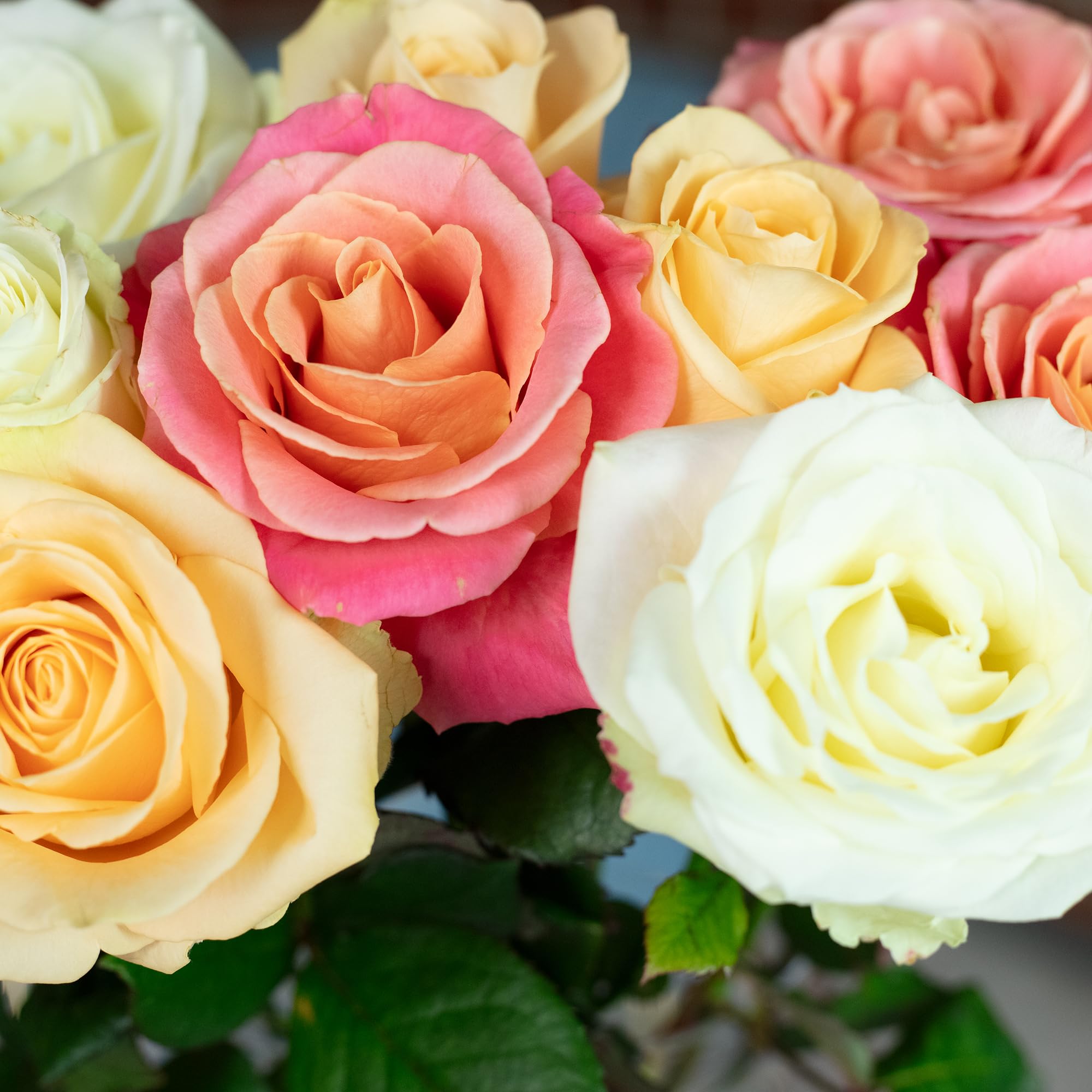 Bouquet de roses fraîches Pastel Poetry 10 tiges 50 cm