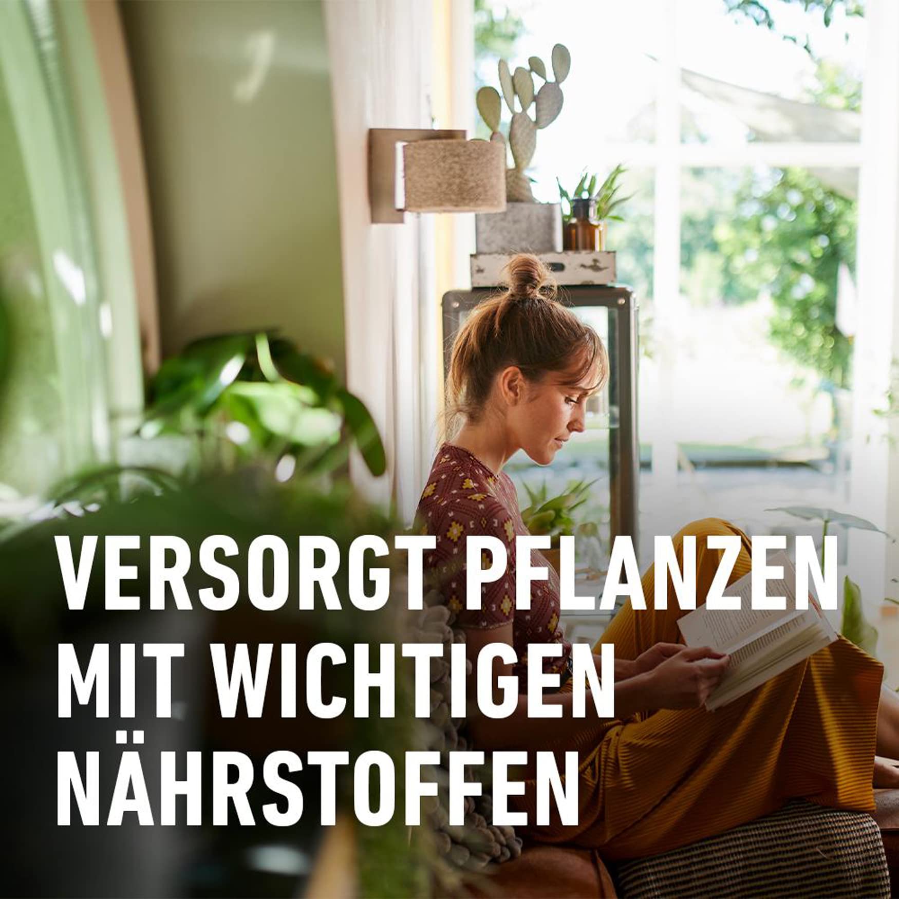 Beiselen Compo Blumendünger mit Guano flüssig 5 l