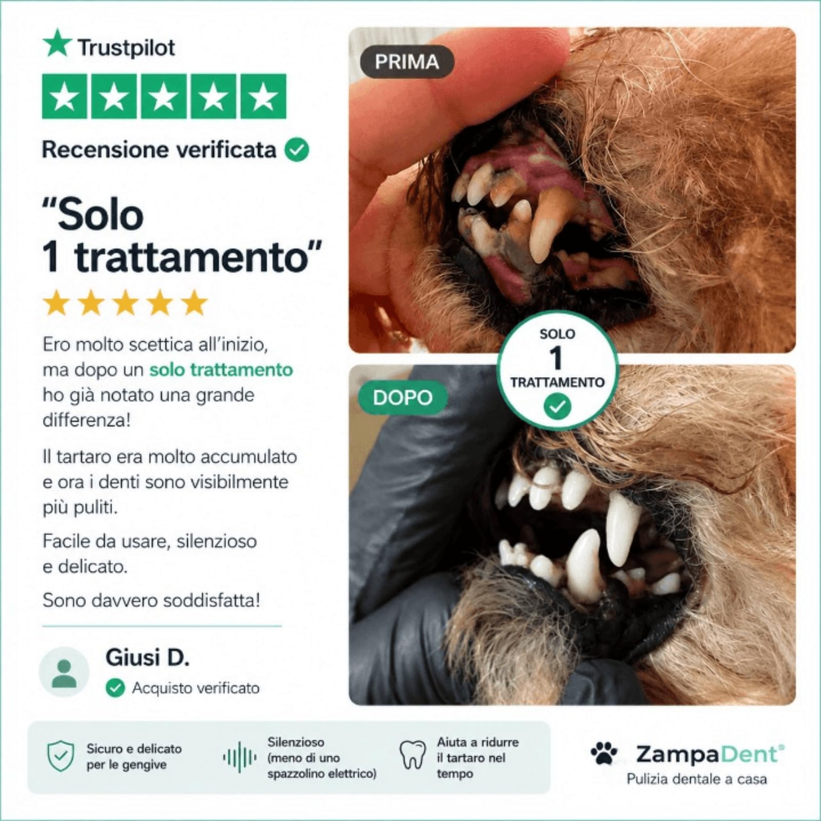 Zampadent Dispositivo Professionale Per La Pulizia Dentale Del Cane,Kit Pulizia Denti Elettrico 6 Modalità,IPX6,Ricaricabile USB Type-C,Rimuovi Tartaro e Placca Dentale
