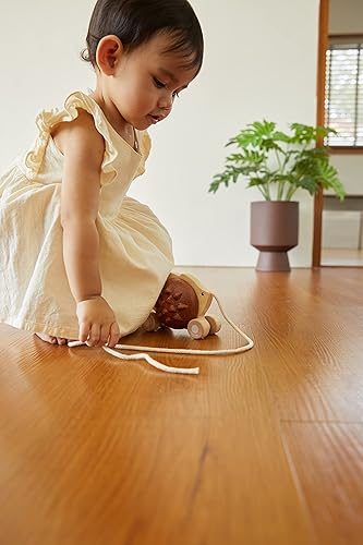 Miniatura 4 de PlanToys Tirar a lo largo de erizo - Marrón (5274)