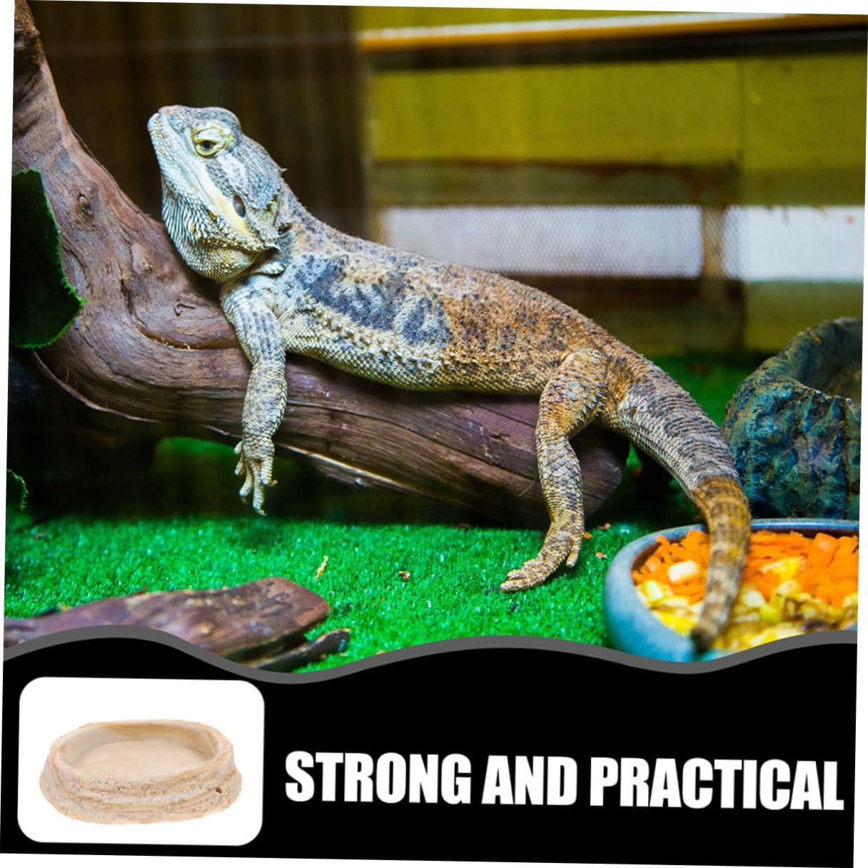 GALPADA 2pcs Reptile Water Dish and Food Bowl Resin Rock Feeder Dish for Lizards Gecko Bearded Dragon Turtle Terrarium Feeding Basin