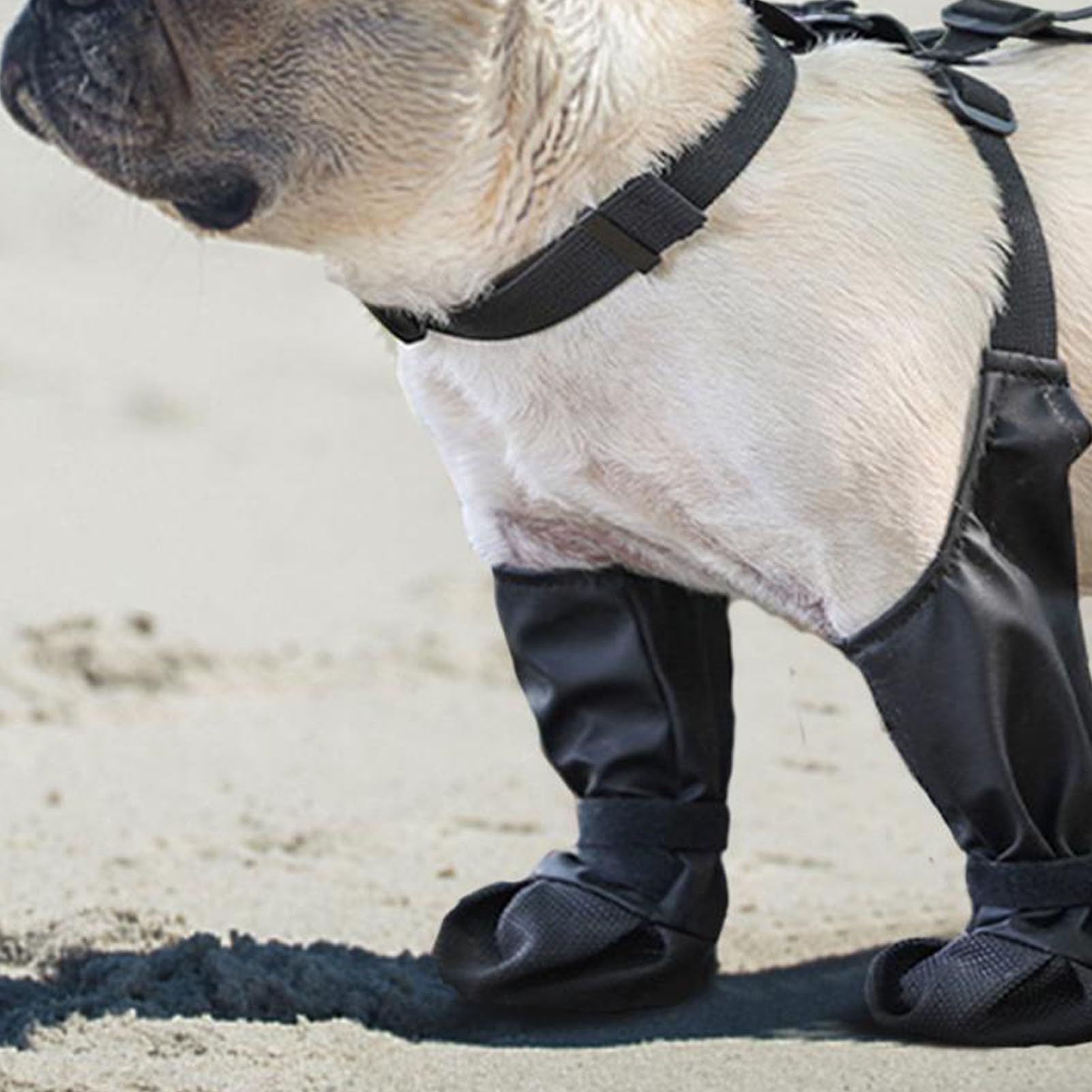 Stivali per Cani con Leggings, Stivali per Zampe per Cani da Esterno, Scarpe Impermeabili per Cani per Passeggiate Invernali all'aperto in Giornate Innevate (S)