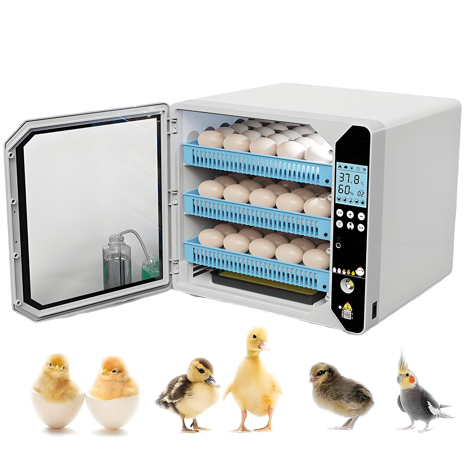 Incubatrice Uova Gallina,Egg Incubator,Rotazione Automatica Uova,Controllo Automatico Temperatura,Rifornimento Acqua Automatico,Vassoio Uova con Spaziatura Regolabile 3Layers