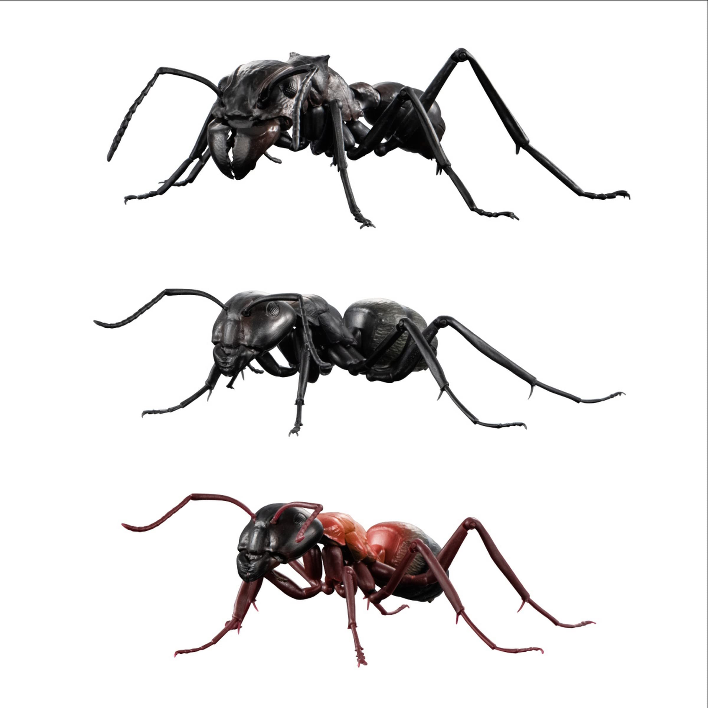 いきもの大図鑑 ガチャ フィギュア Amazon | バンダイ(BANDAI) いきもの大図鑑 あり x 全3種セット