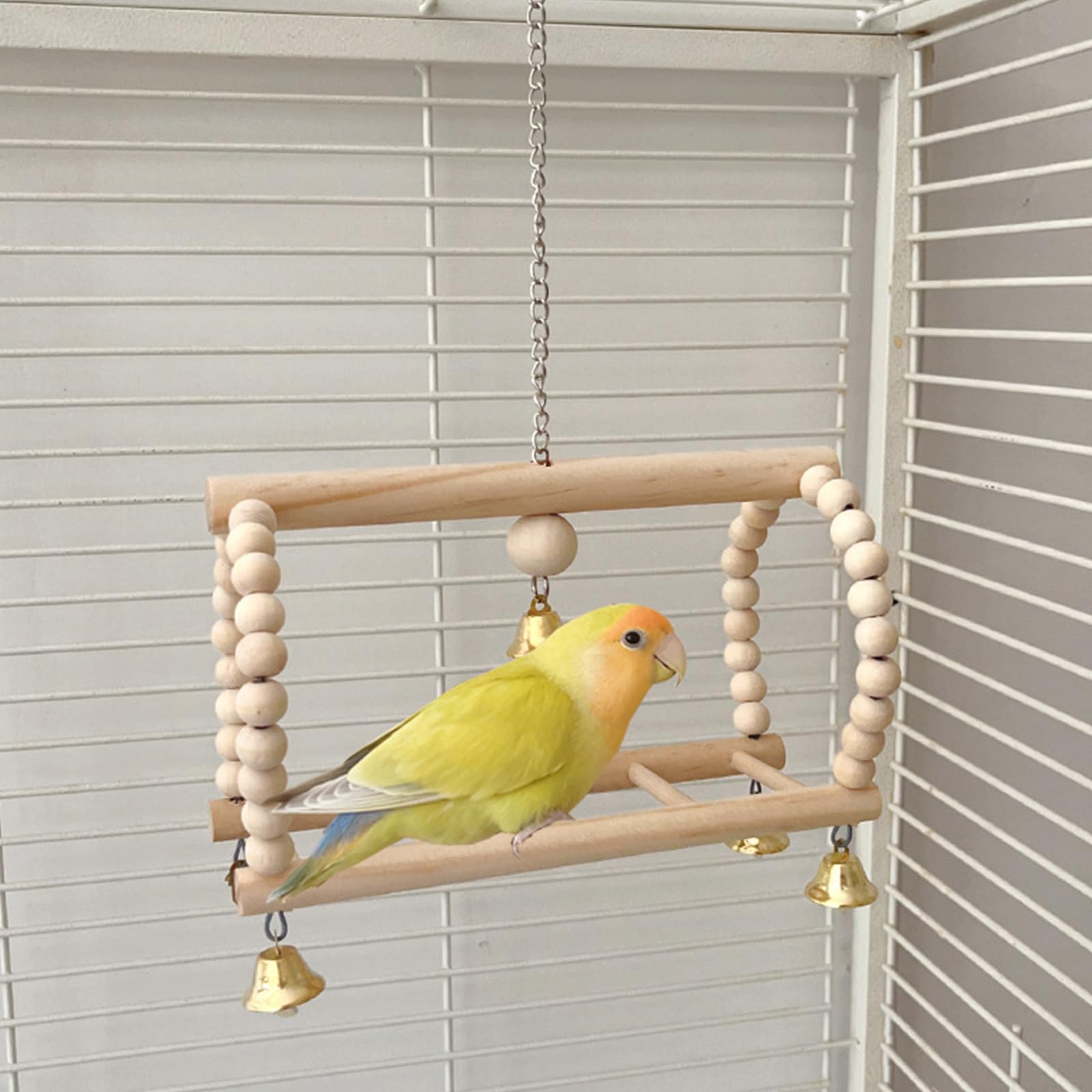 Amazon | 5 パックセキセイインコ遊び場インコスイング鳥運動