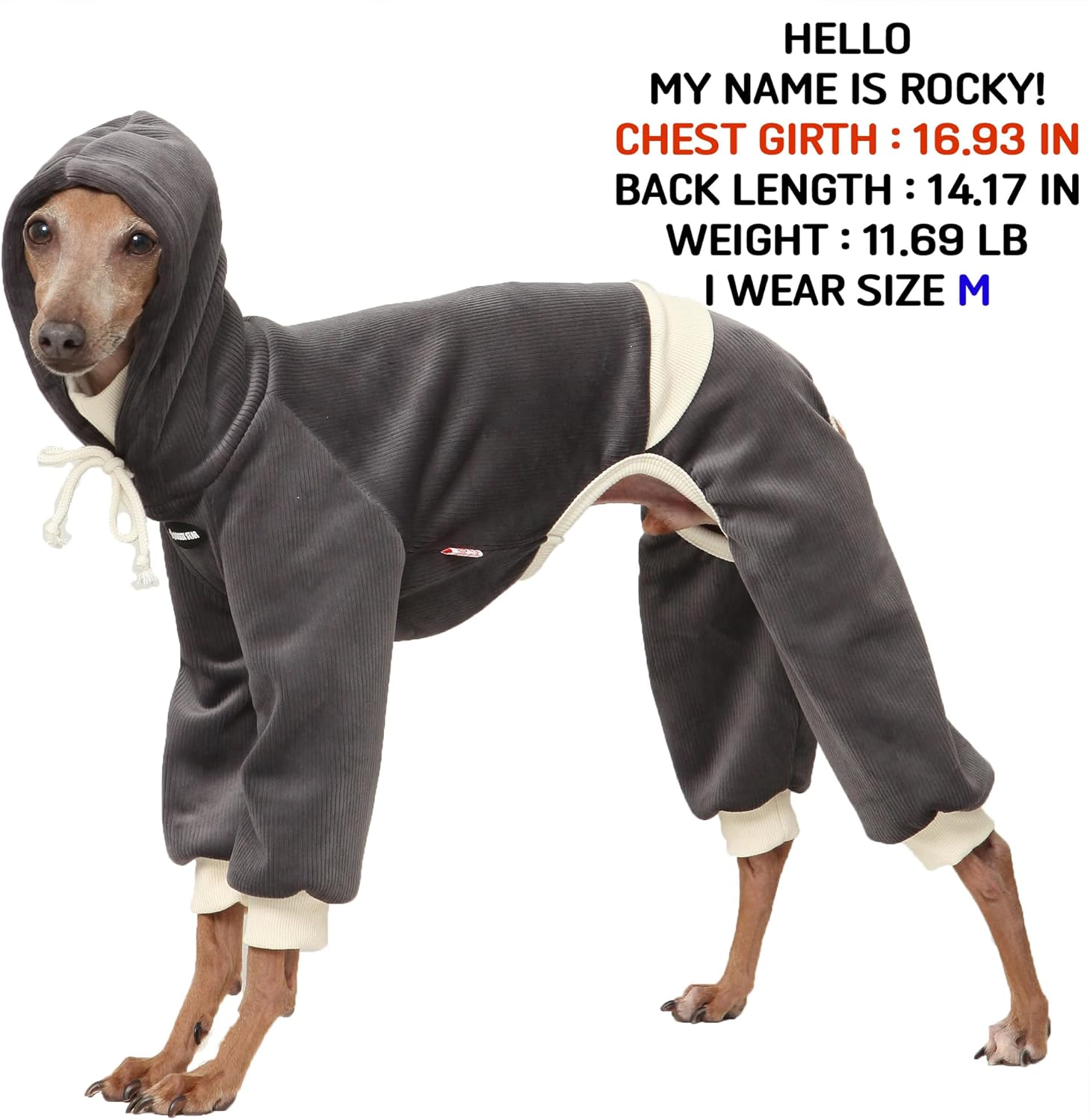 D Doggy Star Italian Greyhound Clothes, Corduroy Velvet Hooded Jumpsuit, Stretchy and Cozy (3XL,Hoodie Charcoal)