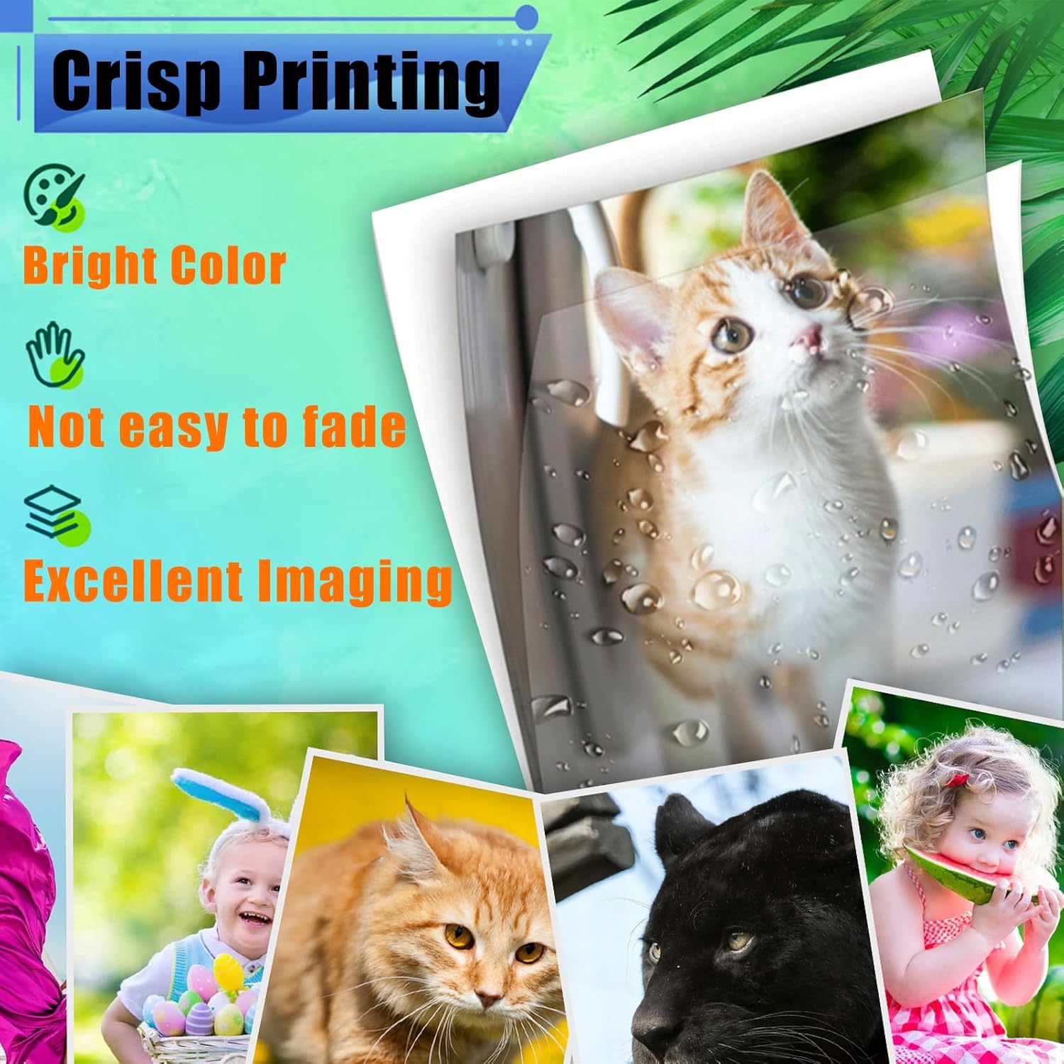 Compatible MC2325 Developer Unit Replacement for Lexmark 78C0D10 78C0D20 78C0D30 78C0D40, Use for C2325 C2425 C2535 C2240 MC2325 MC2425 MC2535 Printer Black 12500 Pages