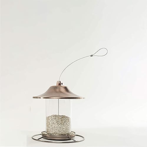 Miniatura 7 de Wagners 57075 Alimento para pájaros silvestres con semillas de cártamo bolsa de 5 libras