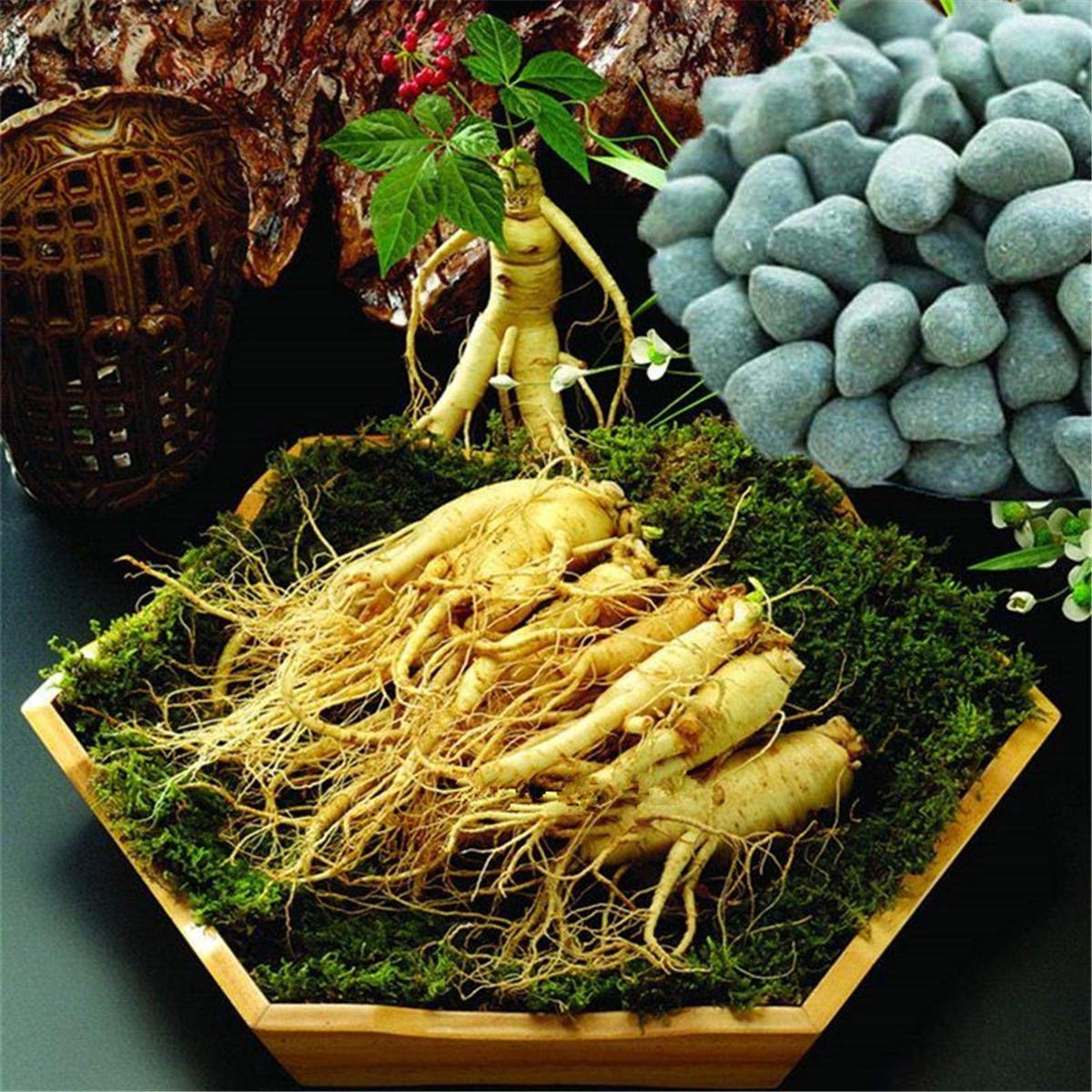 250 g Taiwan Ginseng Oolong Tee - Kostengünstiger, Neuer, Frischer Chinesischer Anxi Oolong - Grüner Tee, Grünes Essen