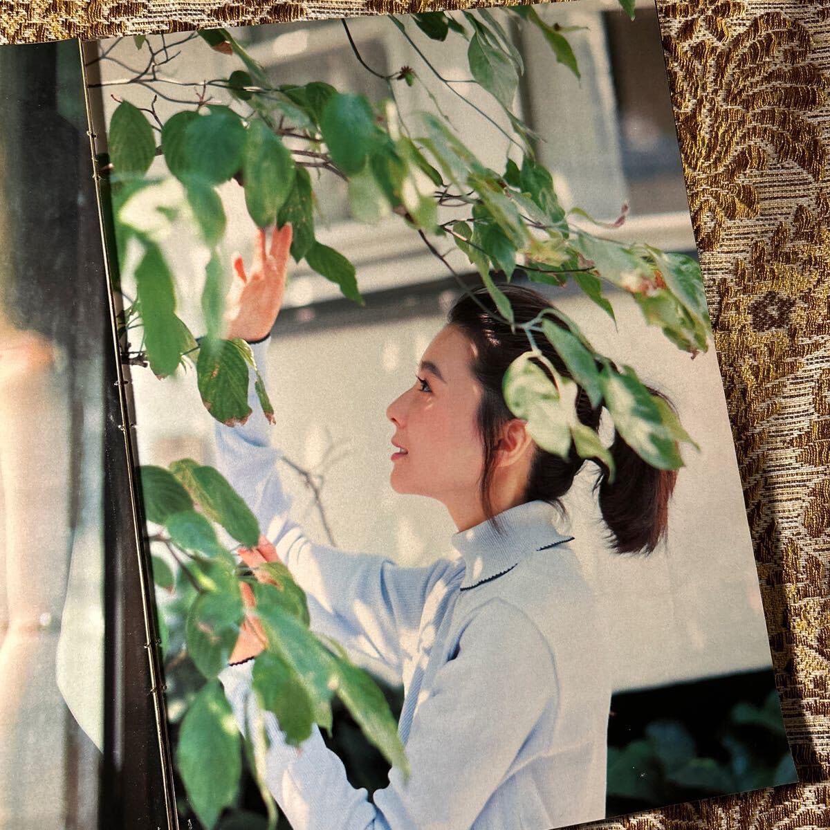 Amazon.co.jp: 極 山本京子20歳× 篠山紀信 グラビア 切り抜き