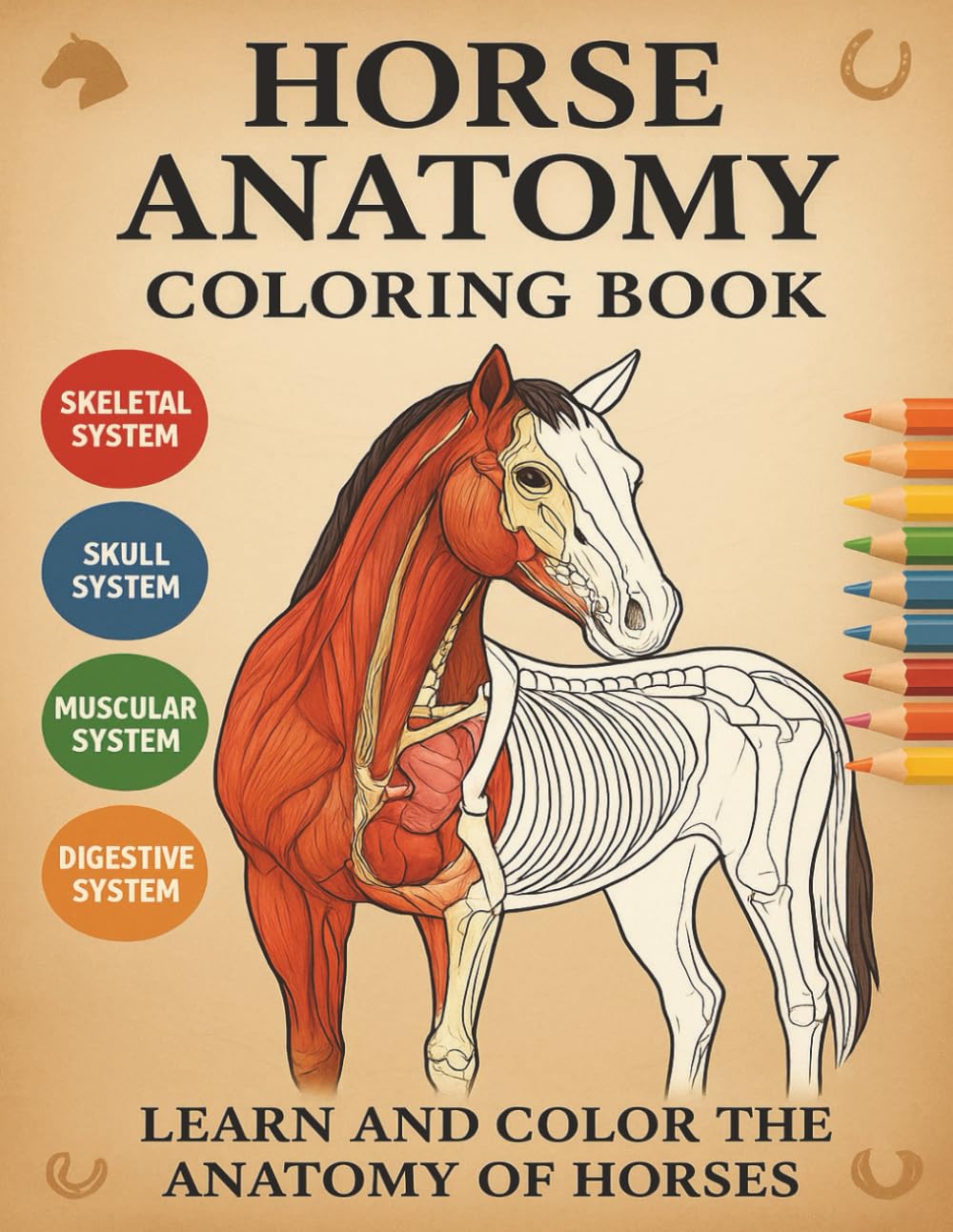 Horse Anatomy Coloring Book: Learn and Color the Skeletal, Muscular, Skull & Digestive Systems of Horses | Educational Workbook for Vet Students, Gift for Veterinary Students, Equine Lovers & Adults