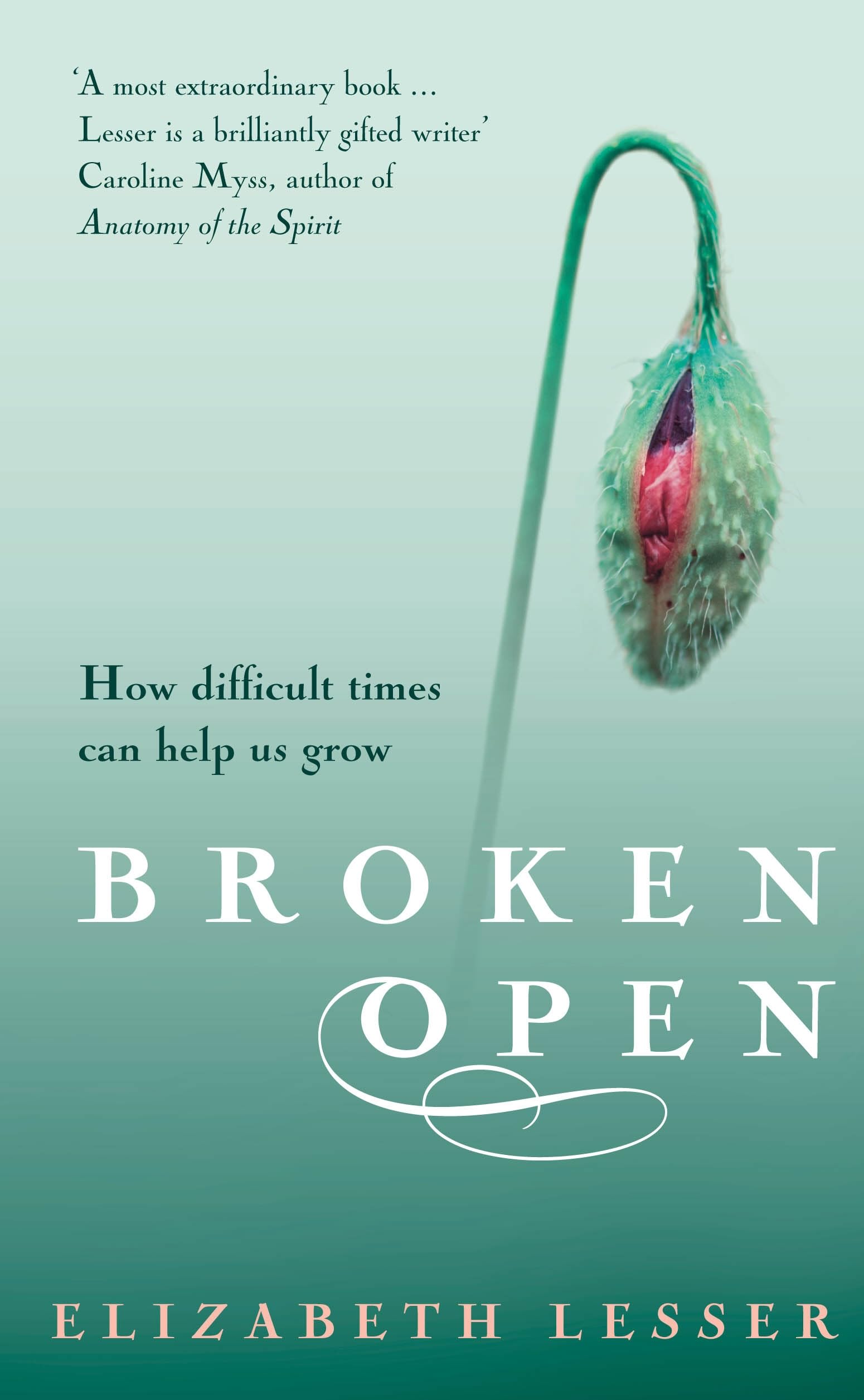 Broken Open: How difficult times can help us grow By Elizabeth  .9781844135615