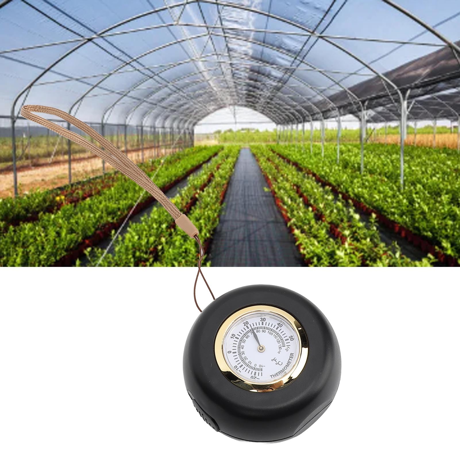 Zunate Mechanical Light Meter illuminometer, 2 in 1 Pointer Temperature Meter with Hanging Rope for Greenhouse Gardening, Lighting Engineering