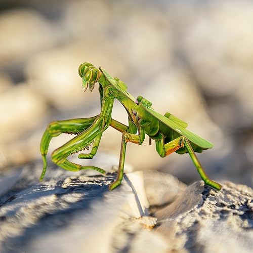 Miniatura 3 de STEM Projects - Juguetes preescolares ecológicos para niños a partir de 7 años, rompecabezas gigantes asiáticos de papel 3D para niños, juguetes de