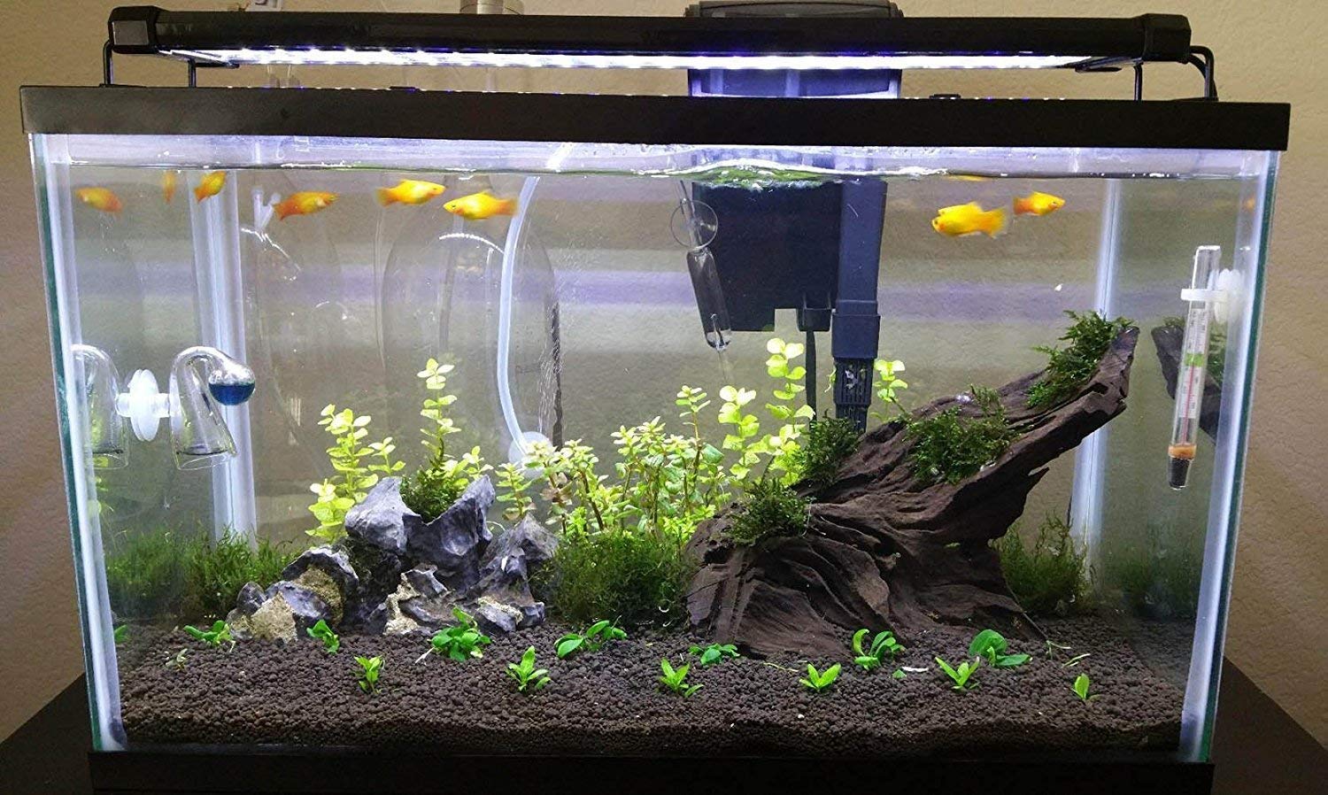 Nicrew classicled aquarium light Clearance