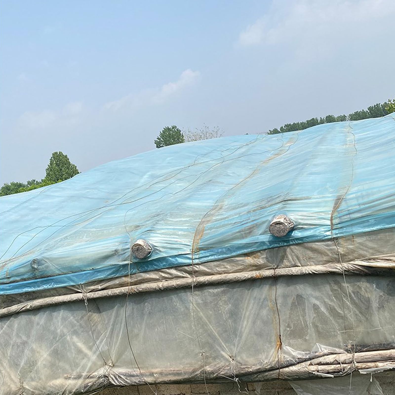 Telo di copertura trasparente resistente, 4 x 5 m, in plastica resistente agli strappi, per serre, giardini, agricoltura, pittura, antipolvere, acqua e protezione dai raggi UV