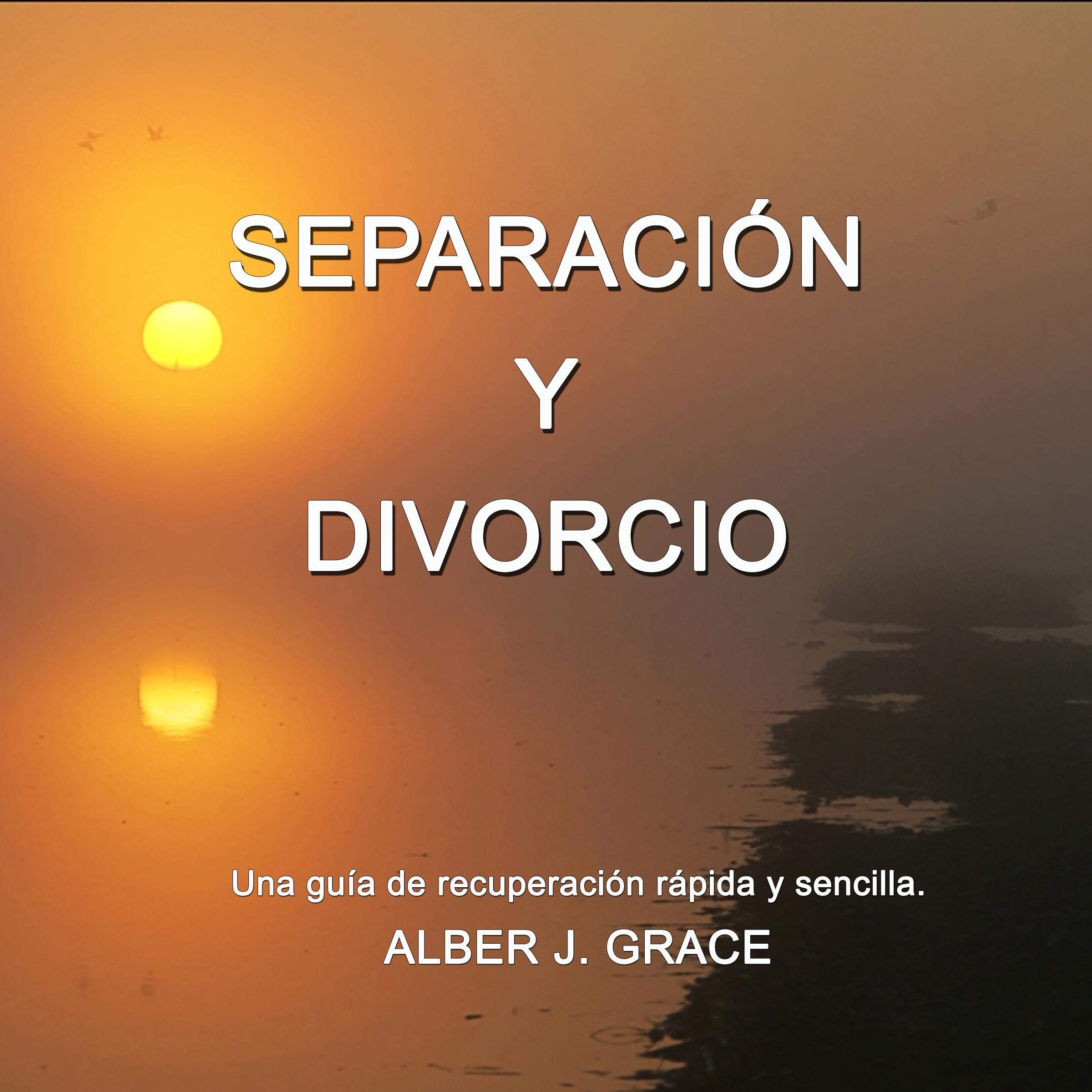 Cover art for Separación y Divorcio [Separation and Divorce]