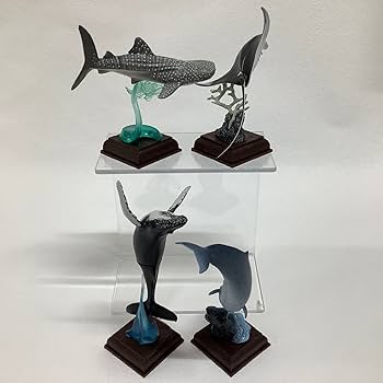 ネイチャーテクニカラー　海洋Ⅰ　旧版　5点セット ネイチャーテクニカラー 海洋Ⅰ(50個入り) | ガチャガチャ