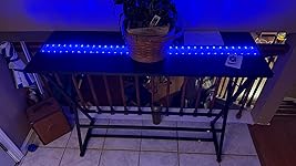 Review Image by Dean G. Dean G.