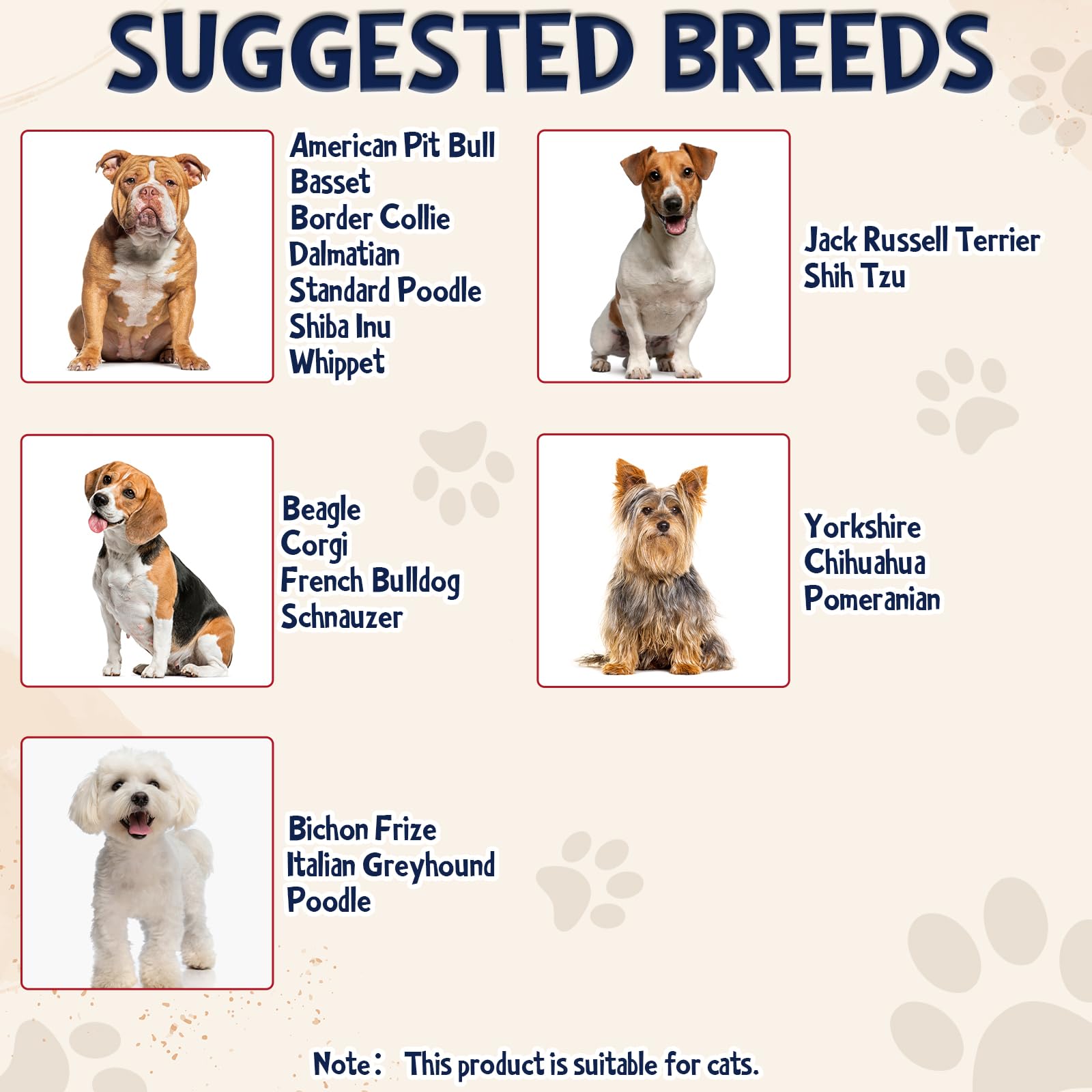 5-teiliges Haustier-Kostüm-Set – Sonnenbrillen, Cowboyhut & Goldkette Für Hunde & Katzen