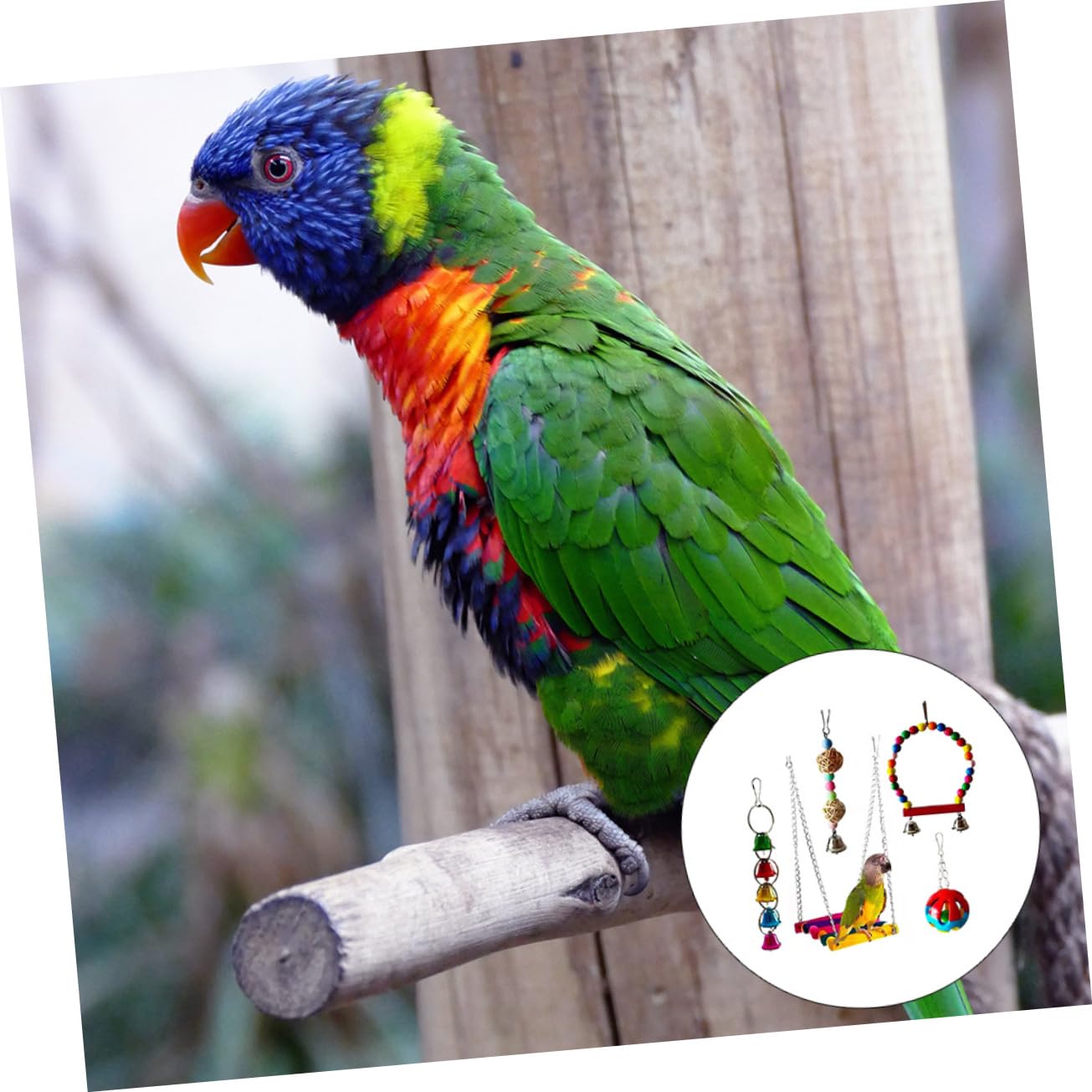 Lot De 5 Jouets À Mâcher pour Oiseaux Jouets À Mordre pour Perroquets