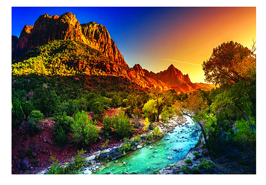 Simply Calendar" National Parks" 2020 Spiral Wall Calendar - 9.5" x 17.5" (Open)