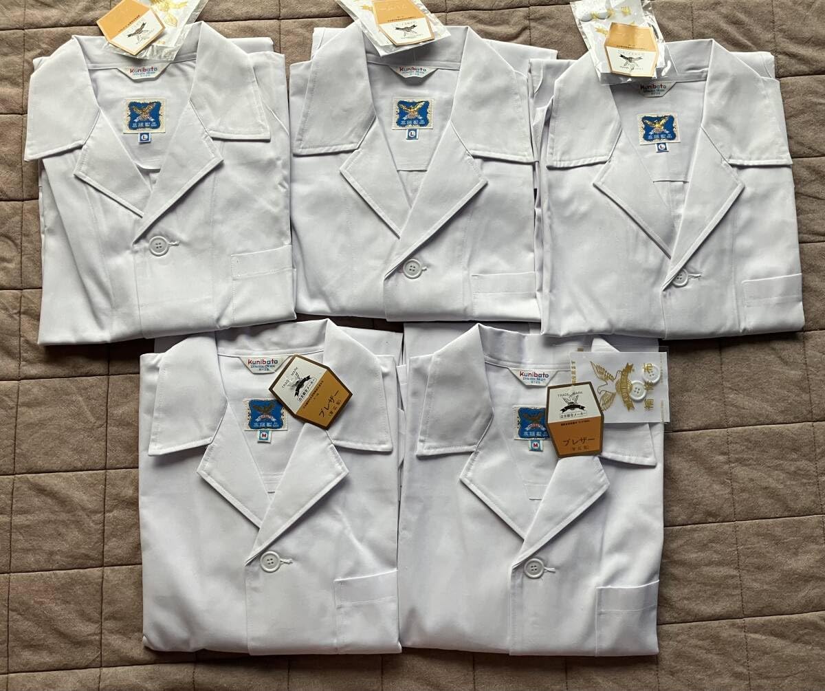 ミズノ　スキーウェア　セットアップ　L MIZUNO スキーウェア 上下セット（サイズ（S/M/L）：LL（XL