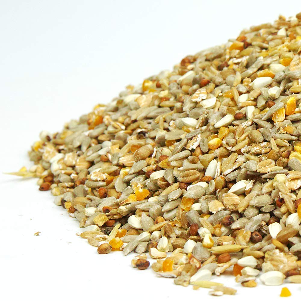 Mezcla de Semillas sin desorden GardenersDream - Alimento para Aves Silvestres cáscara.