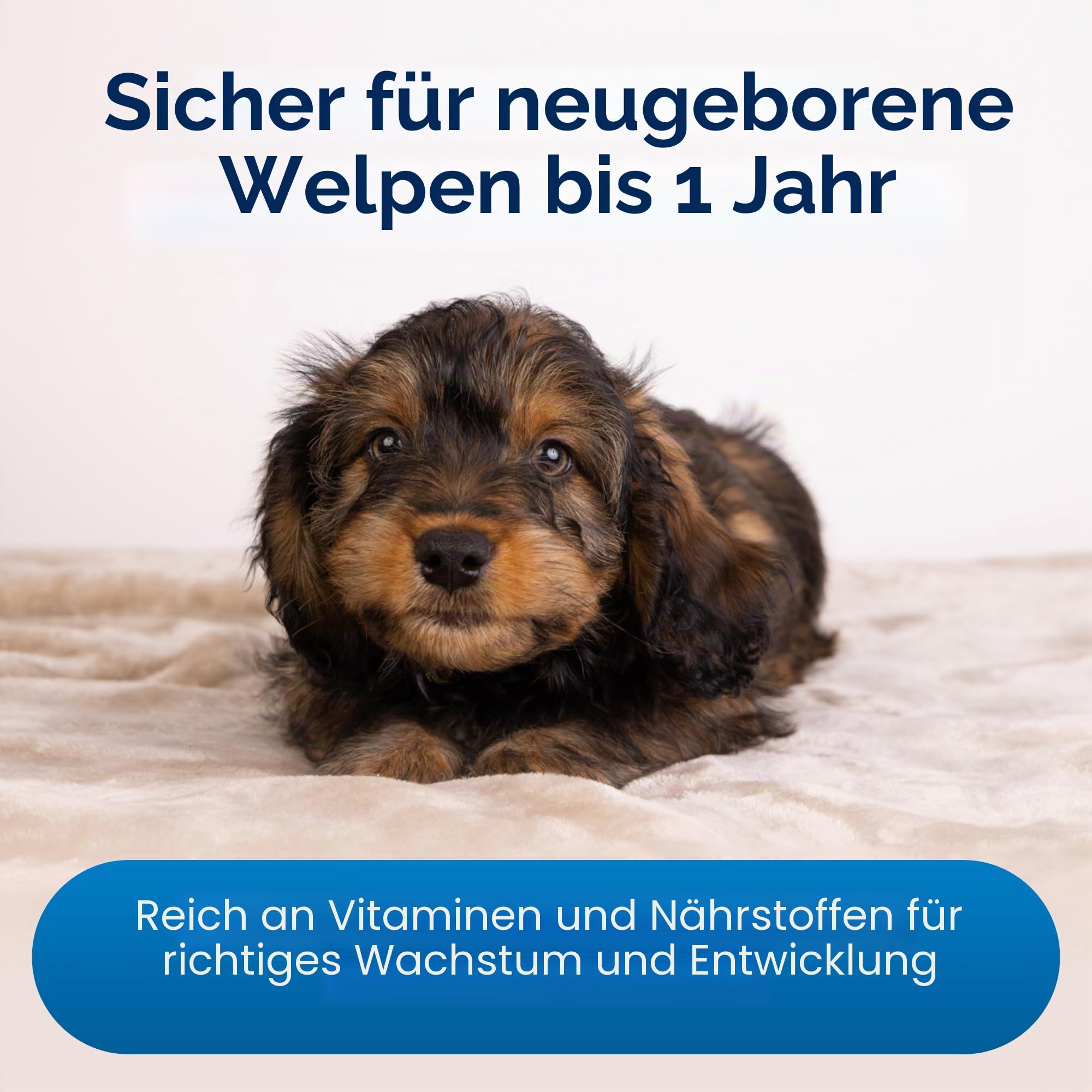 PetAg Esbilac Welpenmilchersatz-Pulver, 340 ml, gepuderte Welpenformel mit Präbiotika, Probiotika und Vitaminen für Welpen, Neugeborene bis sechs Wochen, leicht verdaulich