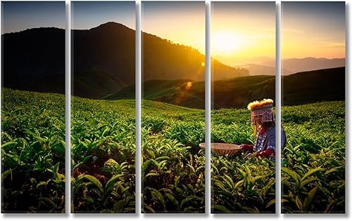 Miniatura 5 de Sungei Palas Tea Garden Malaysia Canvas Print 1 Panel  47x31 inches
