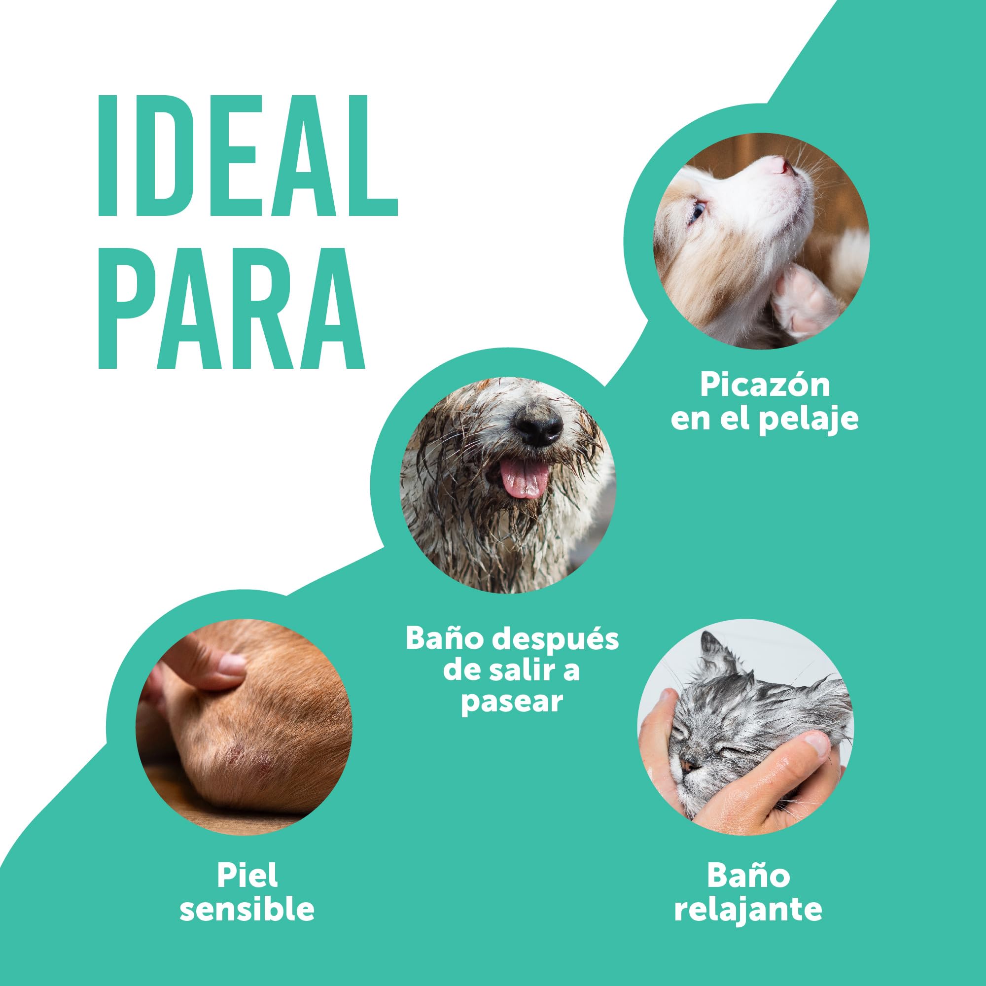 Petsly® Champú Antipulgas para Perros y Gatos - Fórmula Natural con Geraniol y Árbol del Té - Control de Pulgas y Garrapatas - Hidratante y Suave para la Piel - 500 ml - Apto para Todas Las Razas