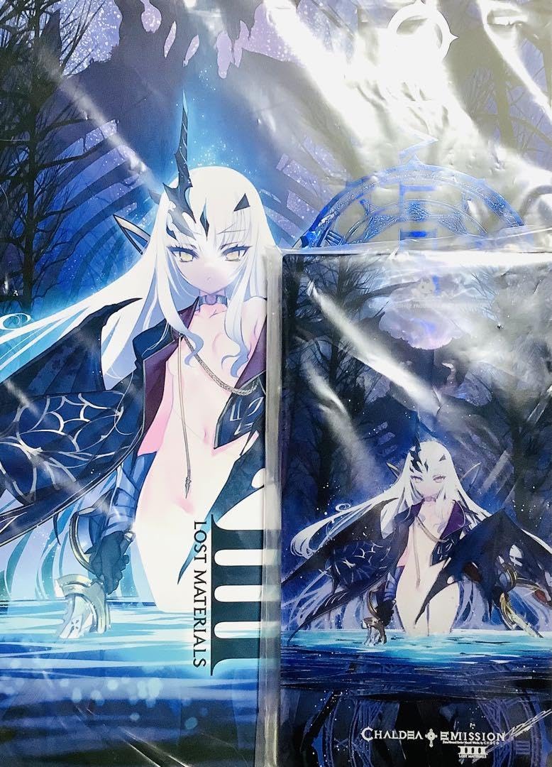 Amazon.co.jp: メリュジーヌ FGO アクリルパネル 新刊セット : おもちゃ 