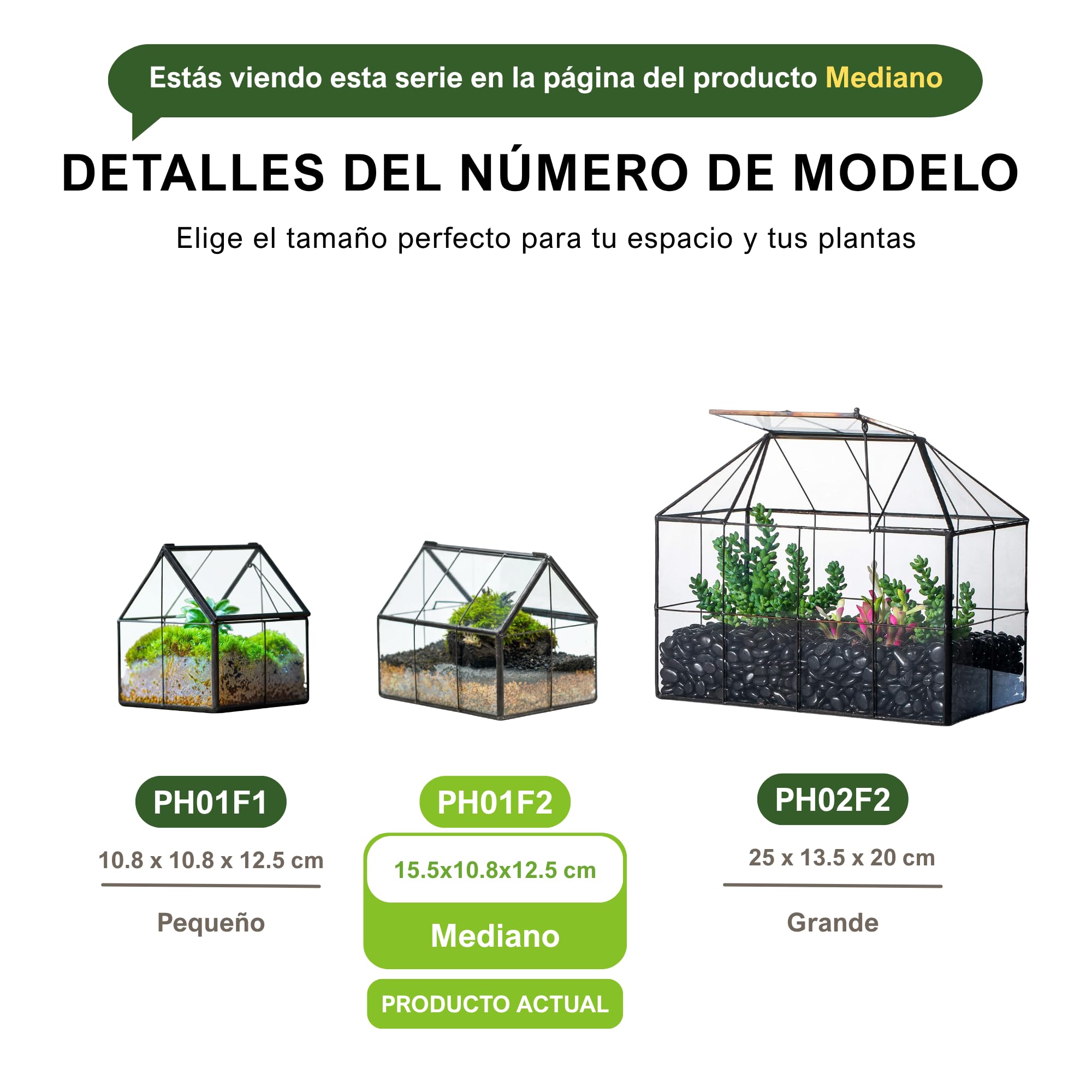 NCYP Mini terrario de Vidrio con Tapa, Maceta Cerrada con Forma de casa,15,5x10,8x12,5 cm, decoración geométrica para Cactus pequeños, Plantas (Solo terrario, sin Plantas)