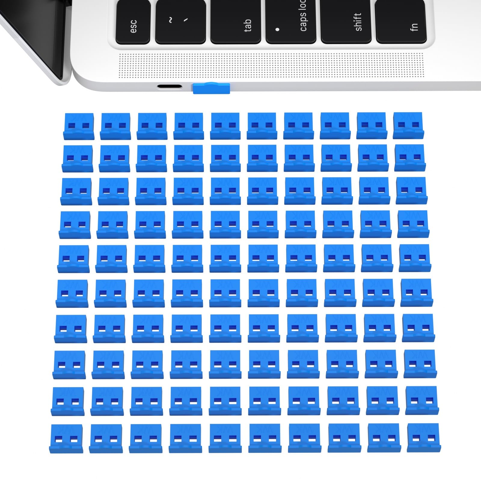 100pcs USB 2.0/3.0 Type A Dust Cover Port Protectors Anti-Dust Dirt USB Port Anti-Dust Cover Plugs Protector Stopper Cap for Female Port for TV,Computer,Other Devices (Blue)