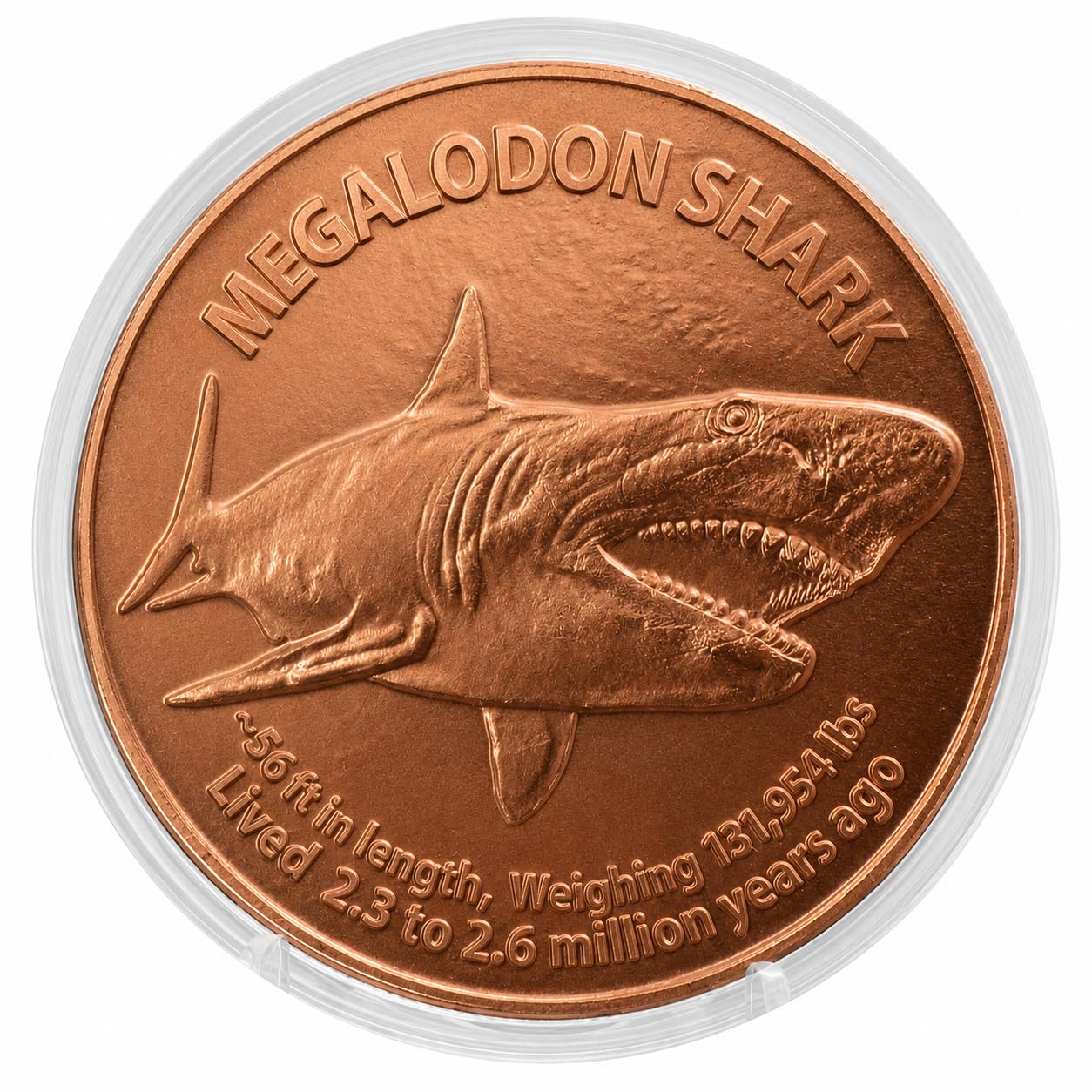 Megalodon Shark 1 oz Pure .999 Copper Round Collecticble 39mm Challenge Coin in Capsule - COA by Heavenly Metals