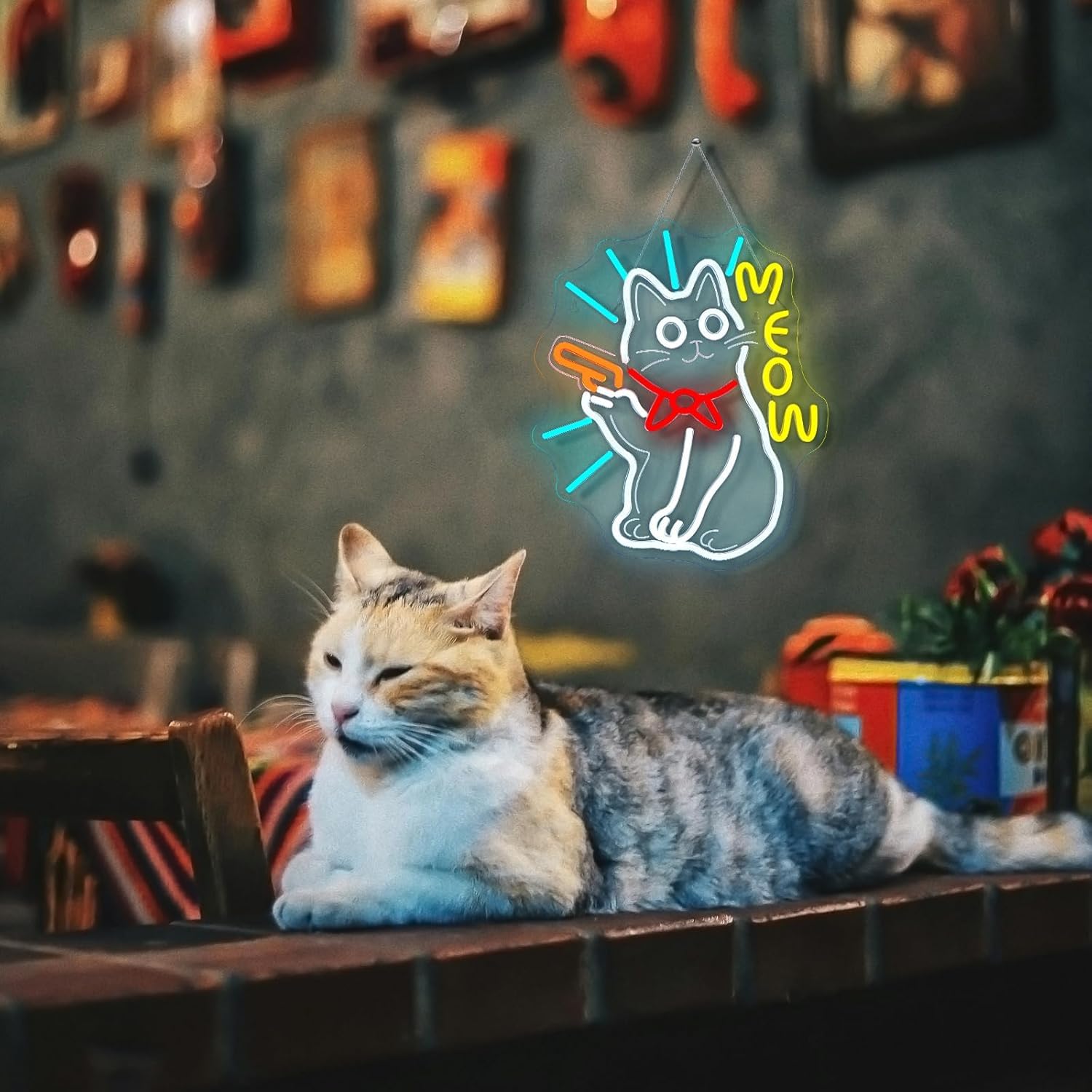 Meow neonowy znak LED, ściemniana, dekoracyjna lampa do salonu, barów, fryzjerów, na wesele, przyjęcie, do pokoju gier, Boże Narodzenie, sztuka, dekoracja ścienna, zasilana przez USB