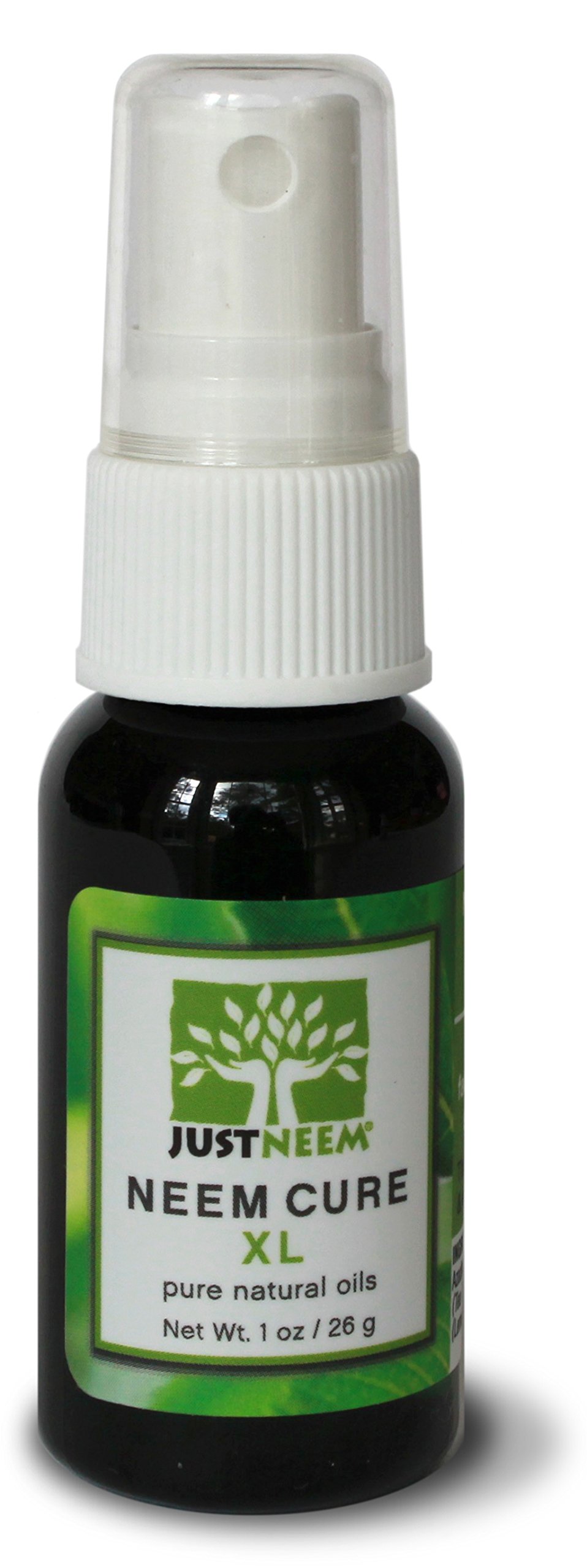 Buy Neem Oil Neem Cure XL Natural Best on Acne, Psoriasis, Eczema