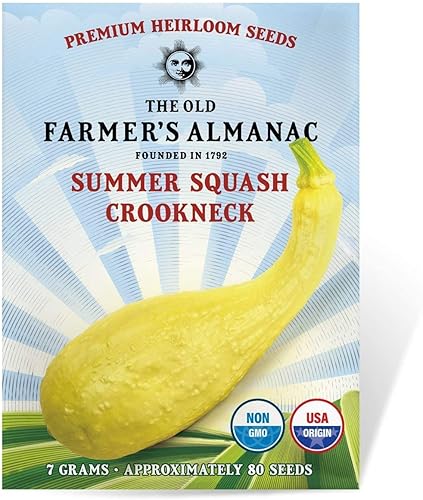 Miniatura 1 de The Old Farmer's Almanac Heirloom - Semillas de calabaza de verano (cuello de gallo amarillo), aproximadamente 70 semillas, sin OMG, polinización