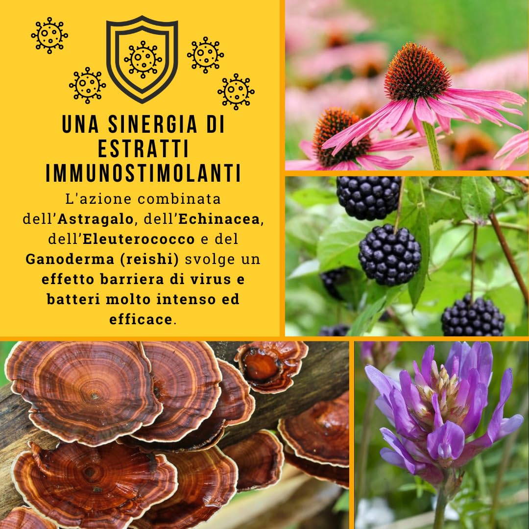Natural Defense Power, Integratore Difese Immunitarie, Complesso con Astragalo, Echinacea Purpurea, Eleuterococco e Ganoderma (Fungo Reishi), Immunostimolante per Rafforzare il Sistema Immunitario